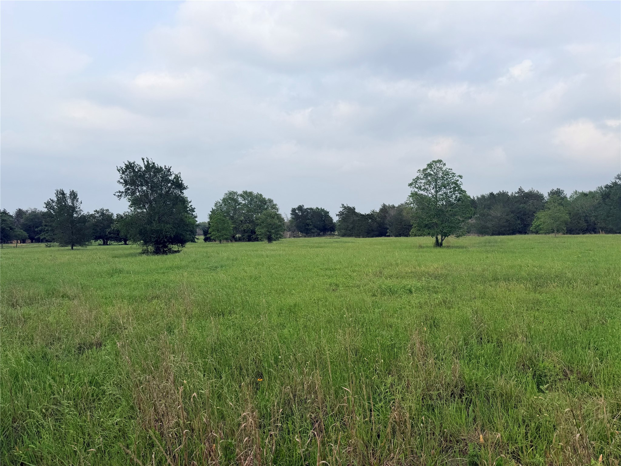 1766 Fm 2104 Property Photo 33