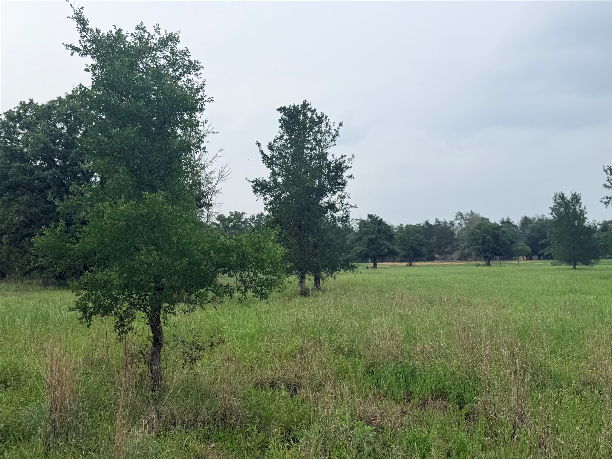 1766 Fm 2104 Property Photo 36