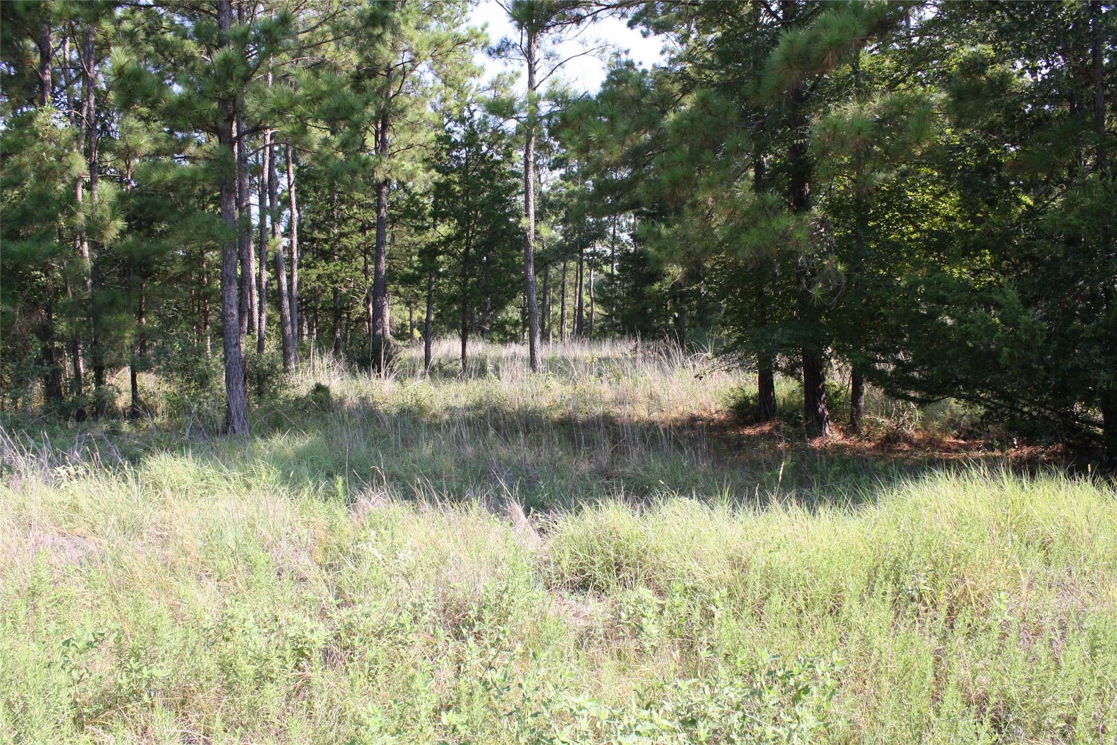 4 Morris Lane Property Photo 1