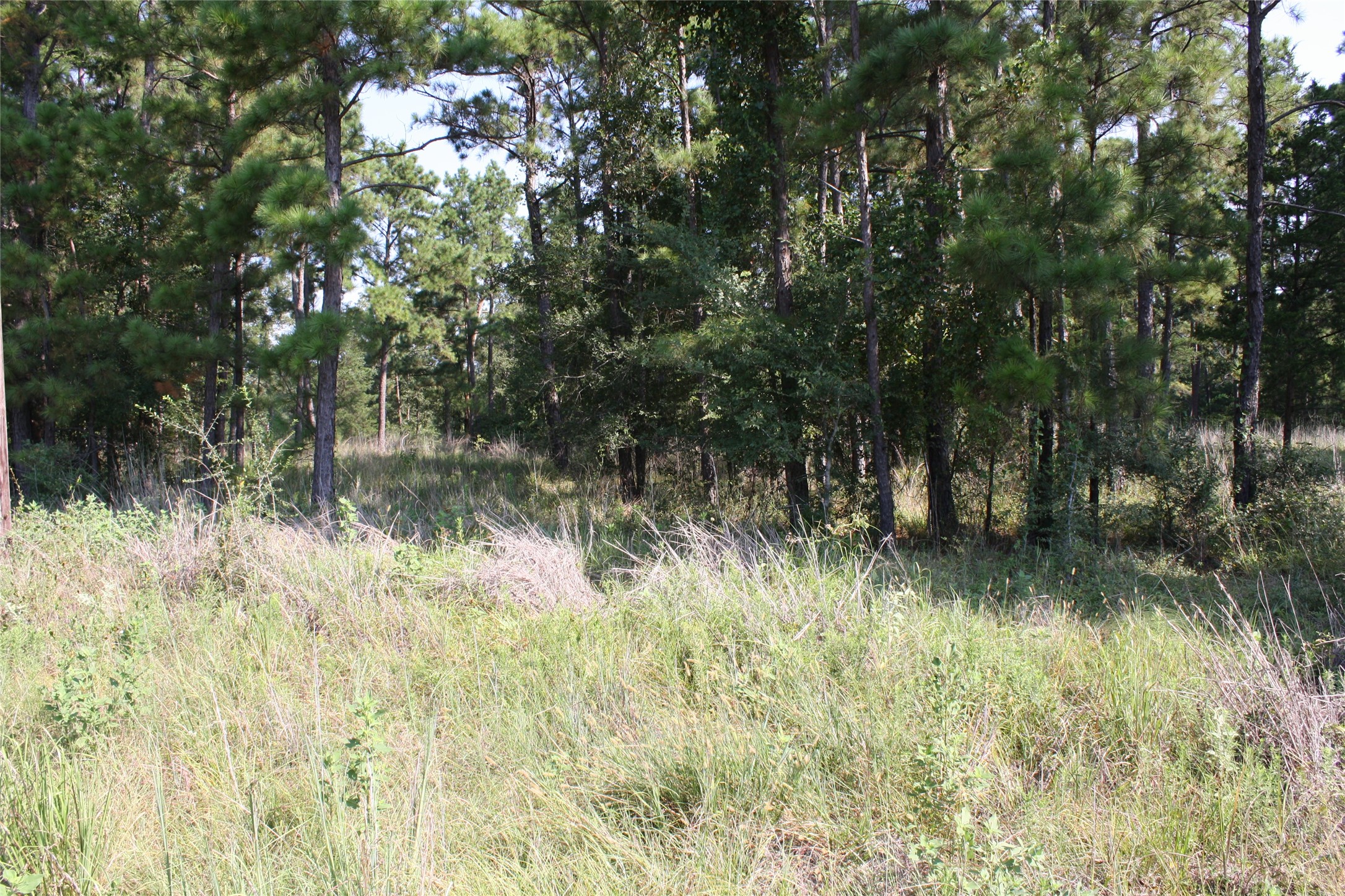 4 Morris Lane Property Photo 2
