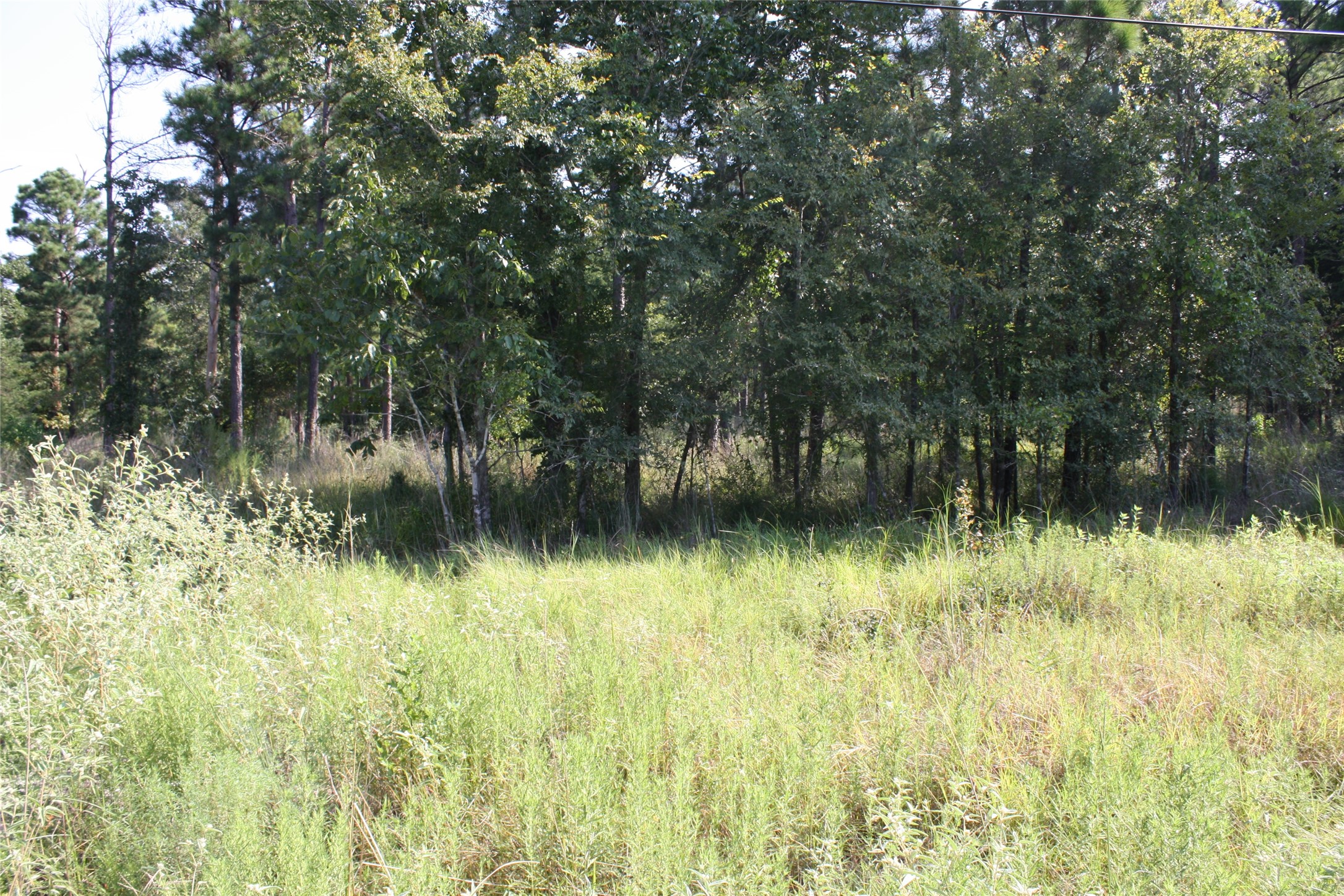 4 Morris Lane Property Photo 3