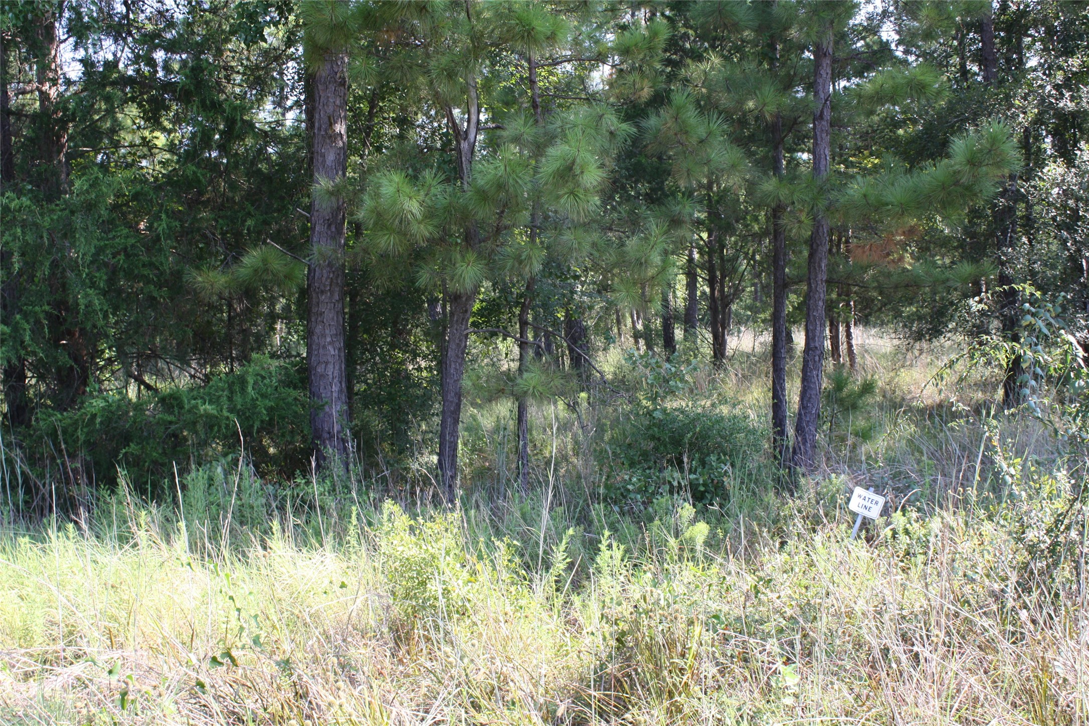 4 Morris Lane Property Photo 4
