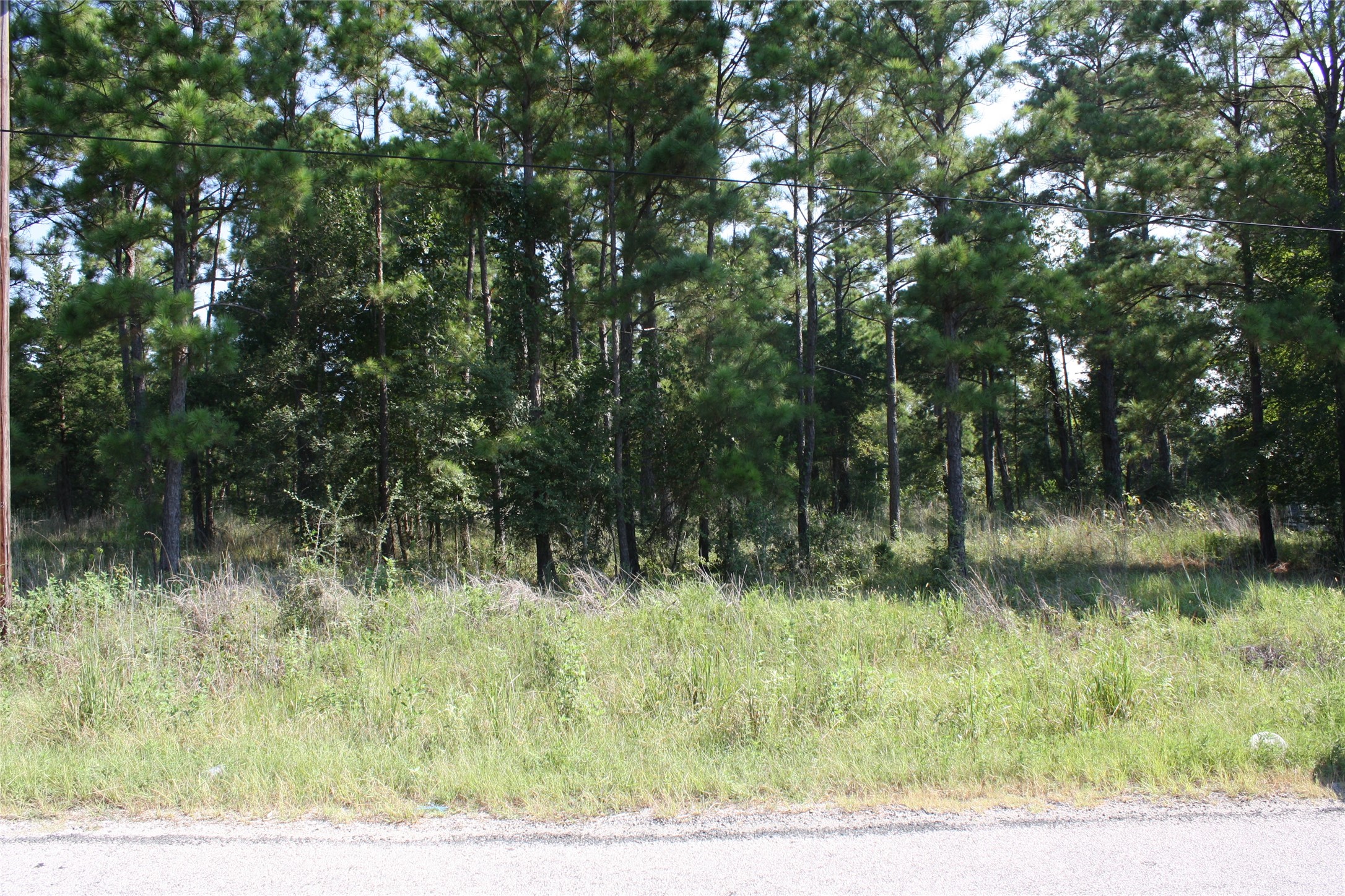 4 Morris Lane Property Photo 5