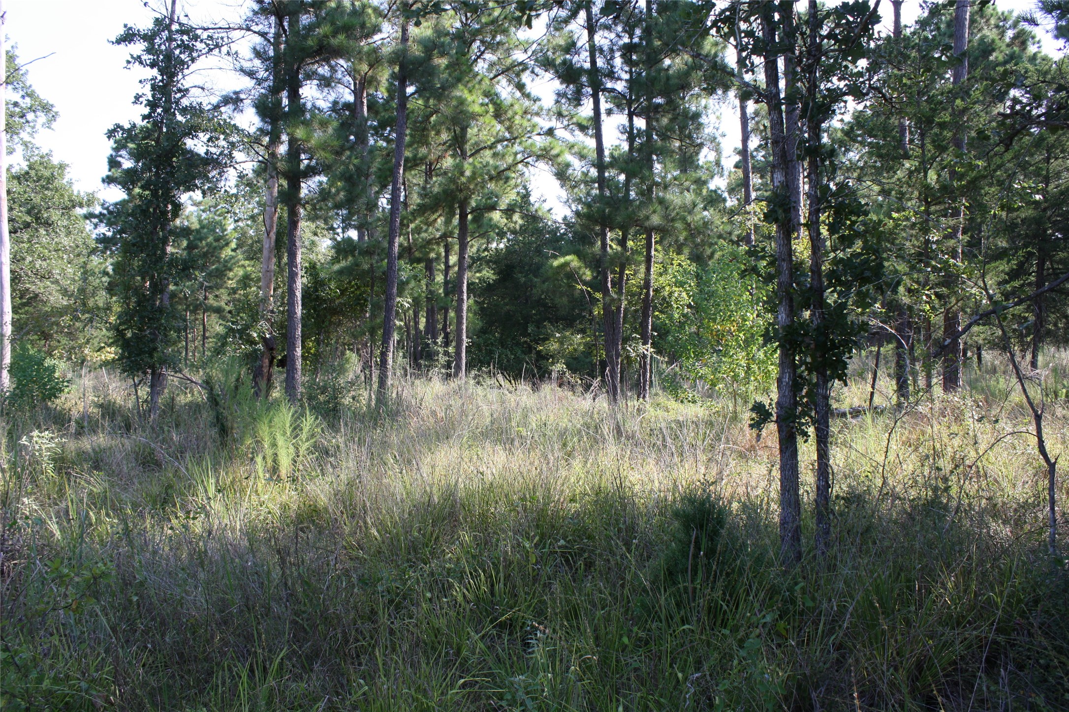 4 Morris Lane Property Photo 6