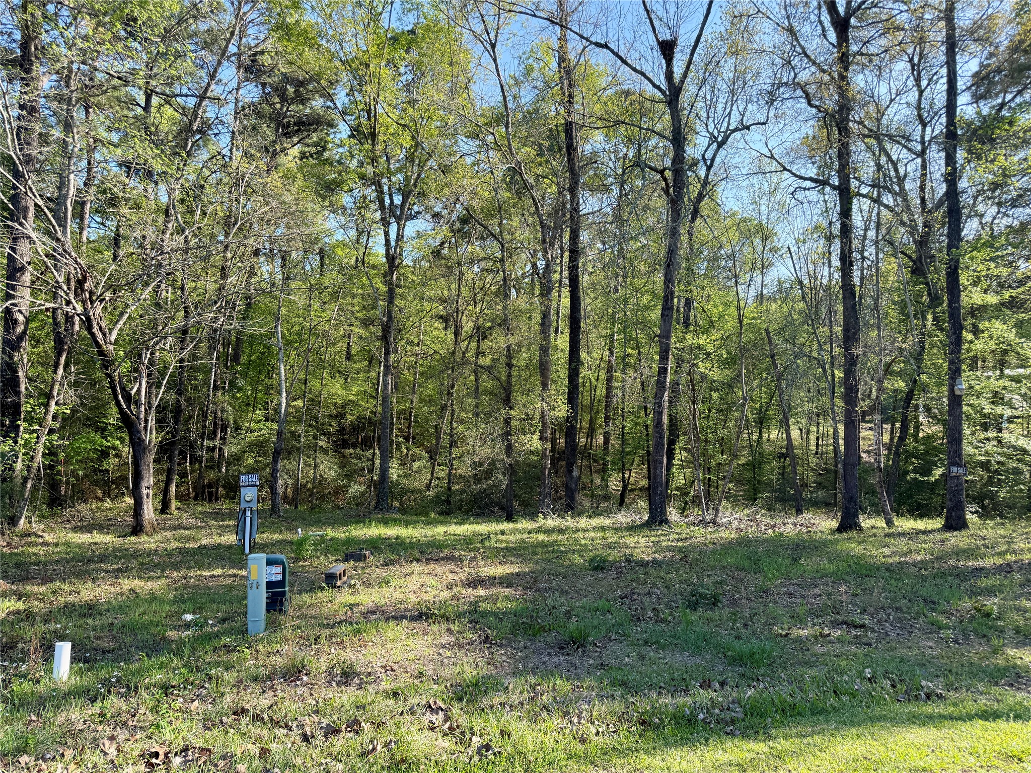 Tbd Leaning Oak Drive Property Photo 1