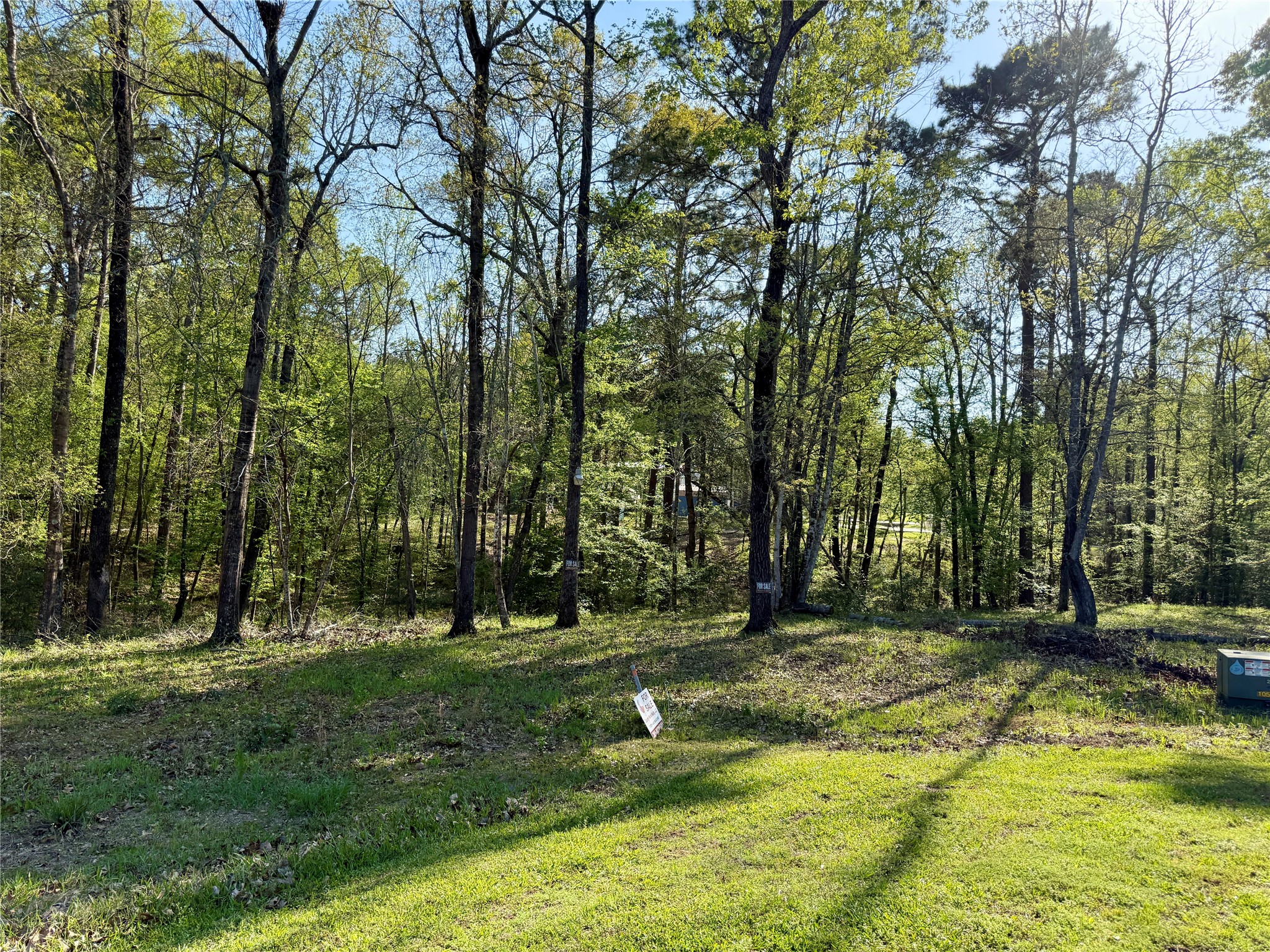 Tbd Leaning Oak Drive Property Photo 2