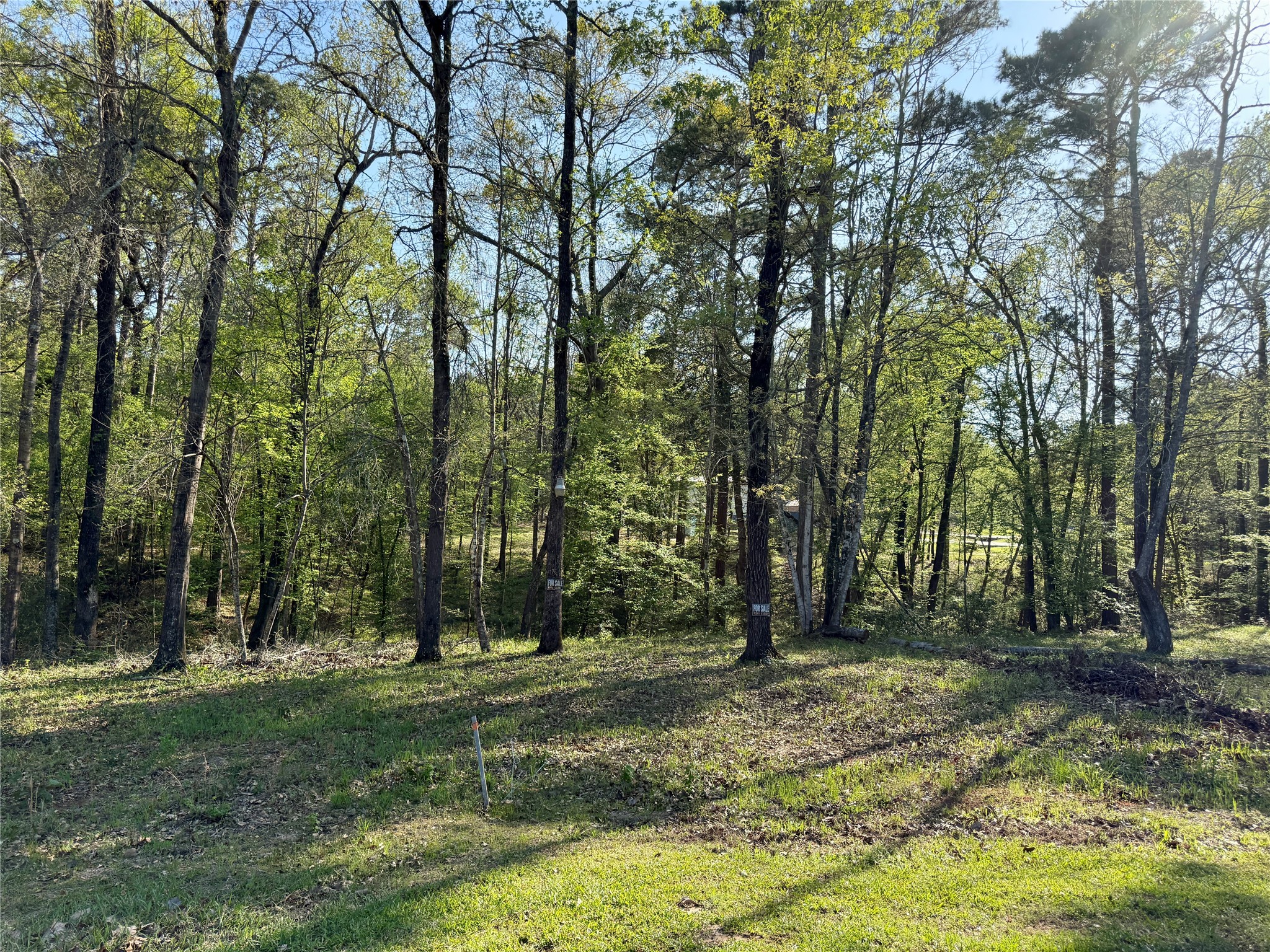 Tbd Leaning Oak Drive Property Photo 3