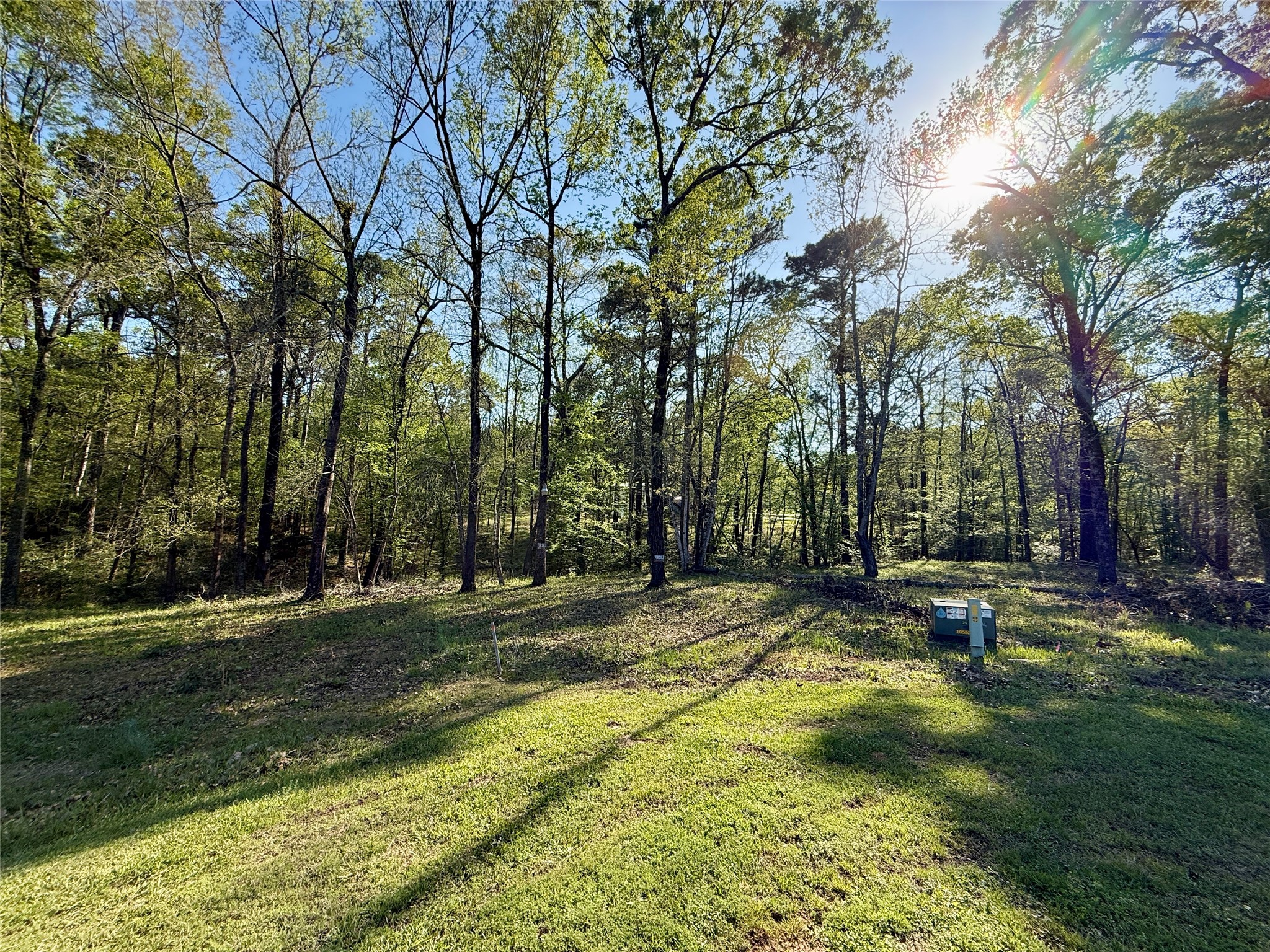Tbd Leaning Oak Drive Property Photo 4