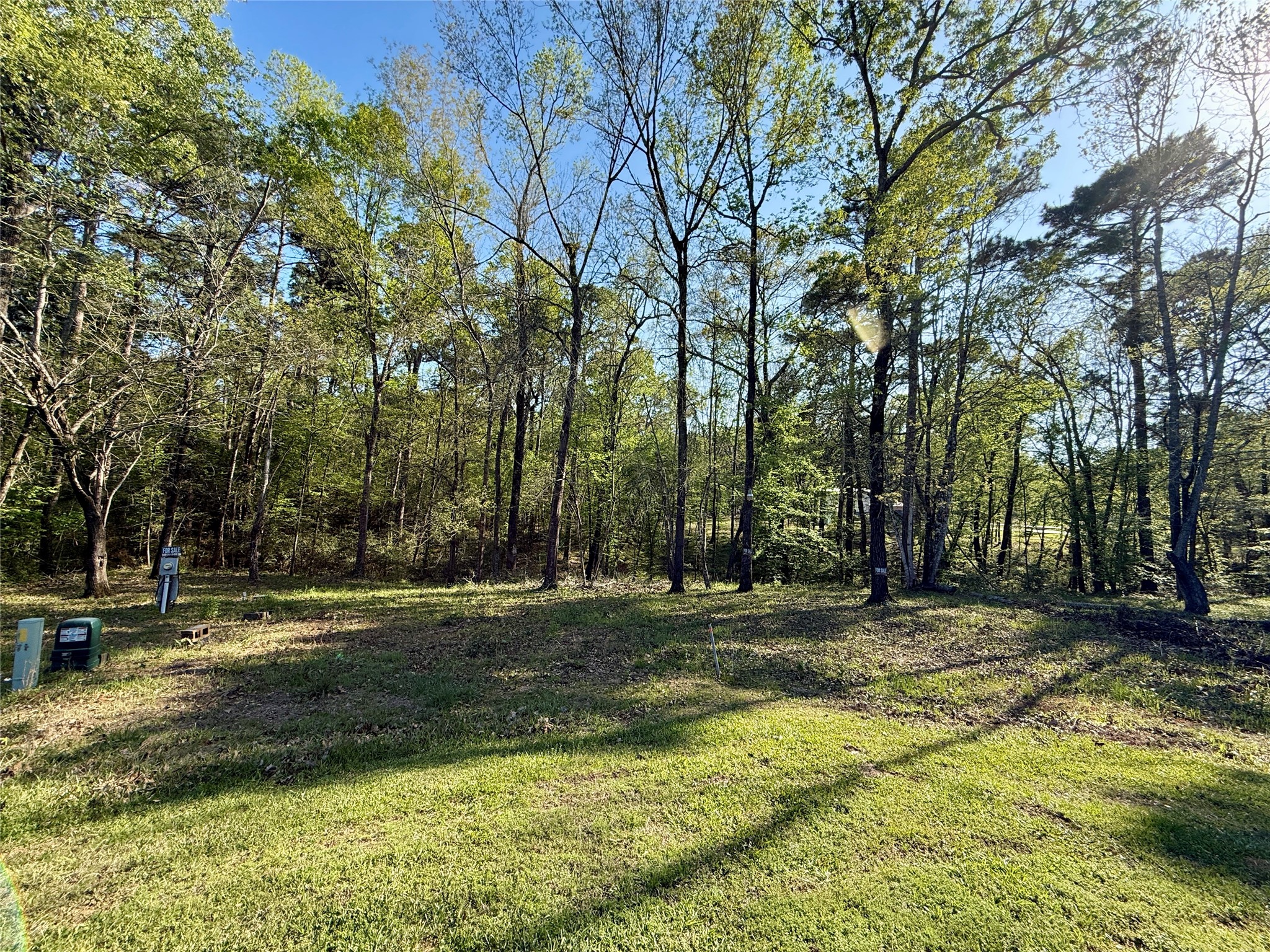 Tbd Leaning Oak Drive Property Photo 5