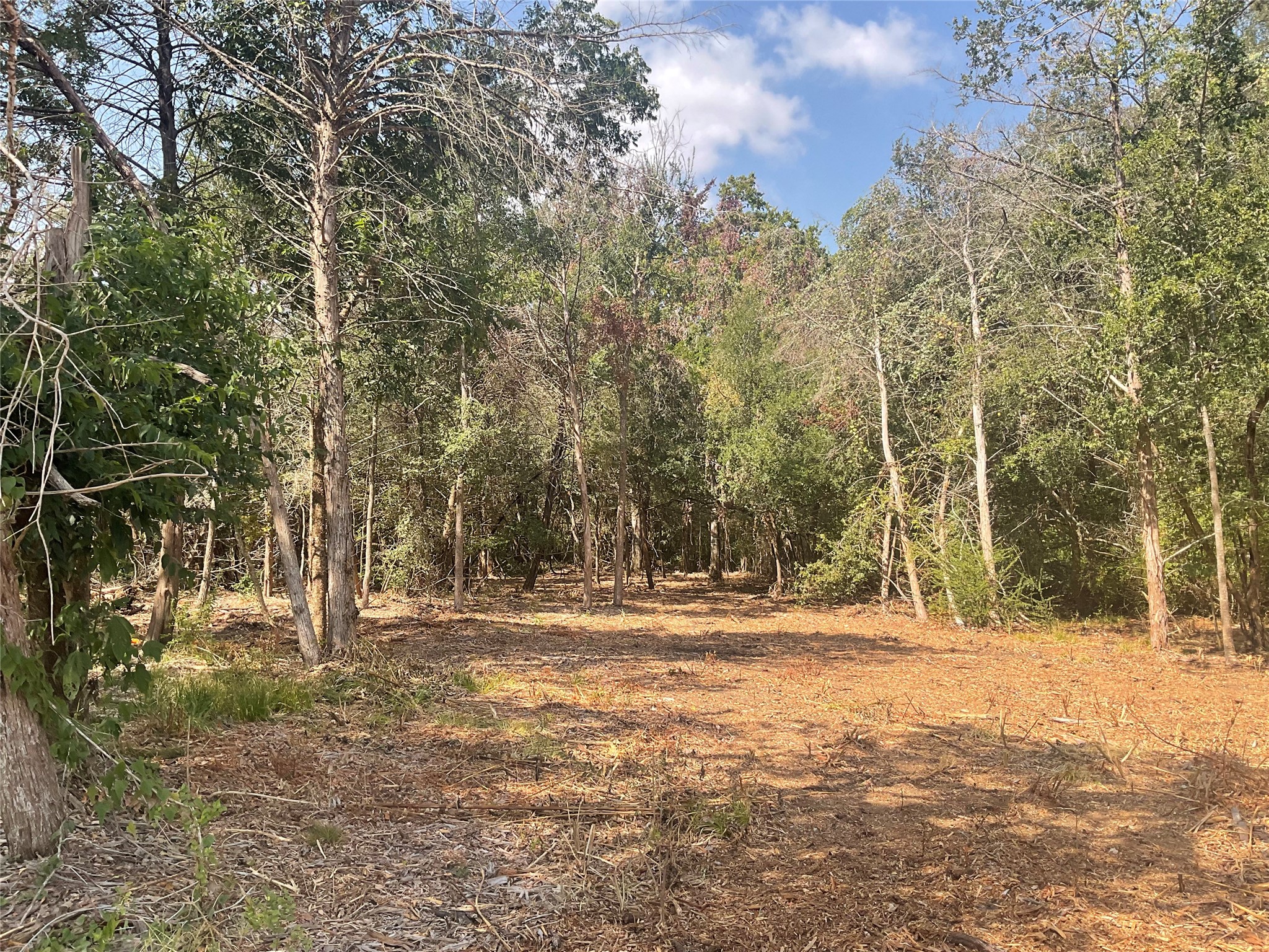 2805 Deer Road Property Photo 2