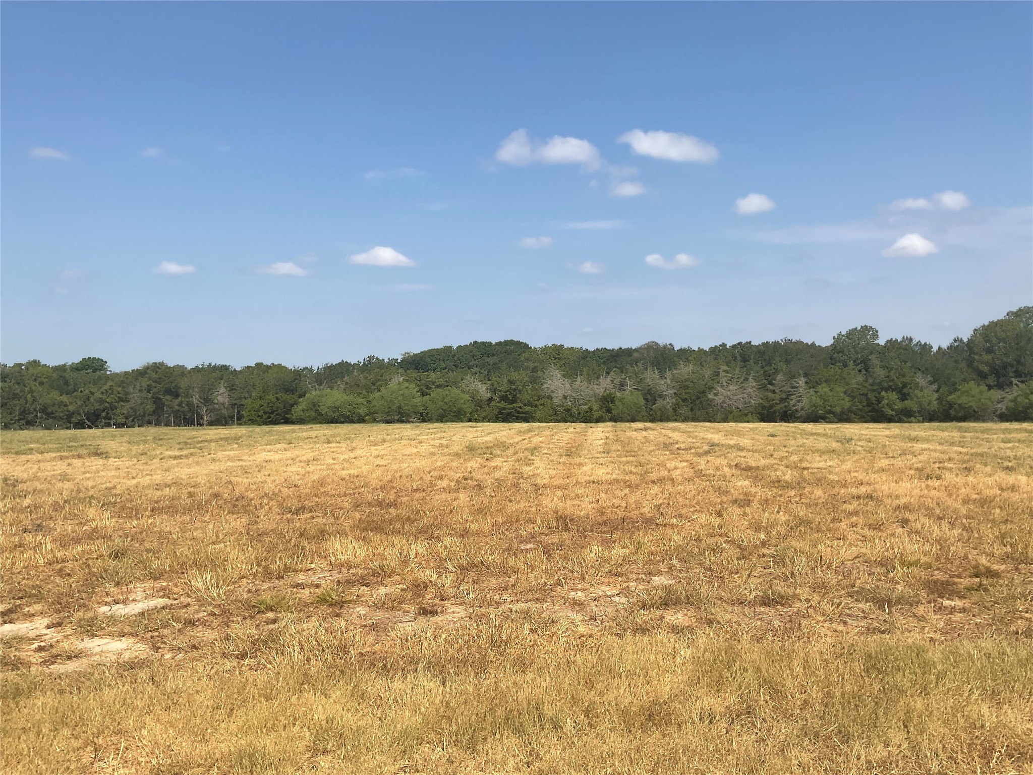 2805 Deer Road Property Photo 6