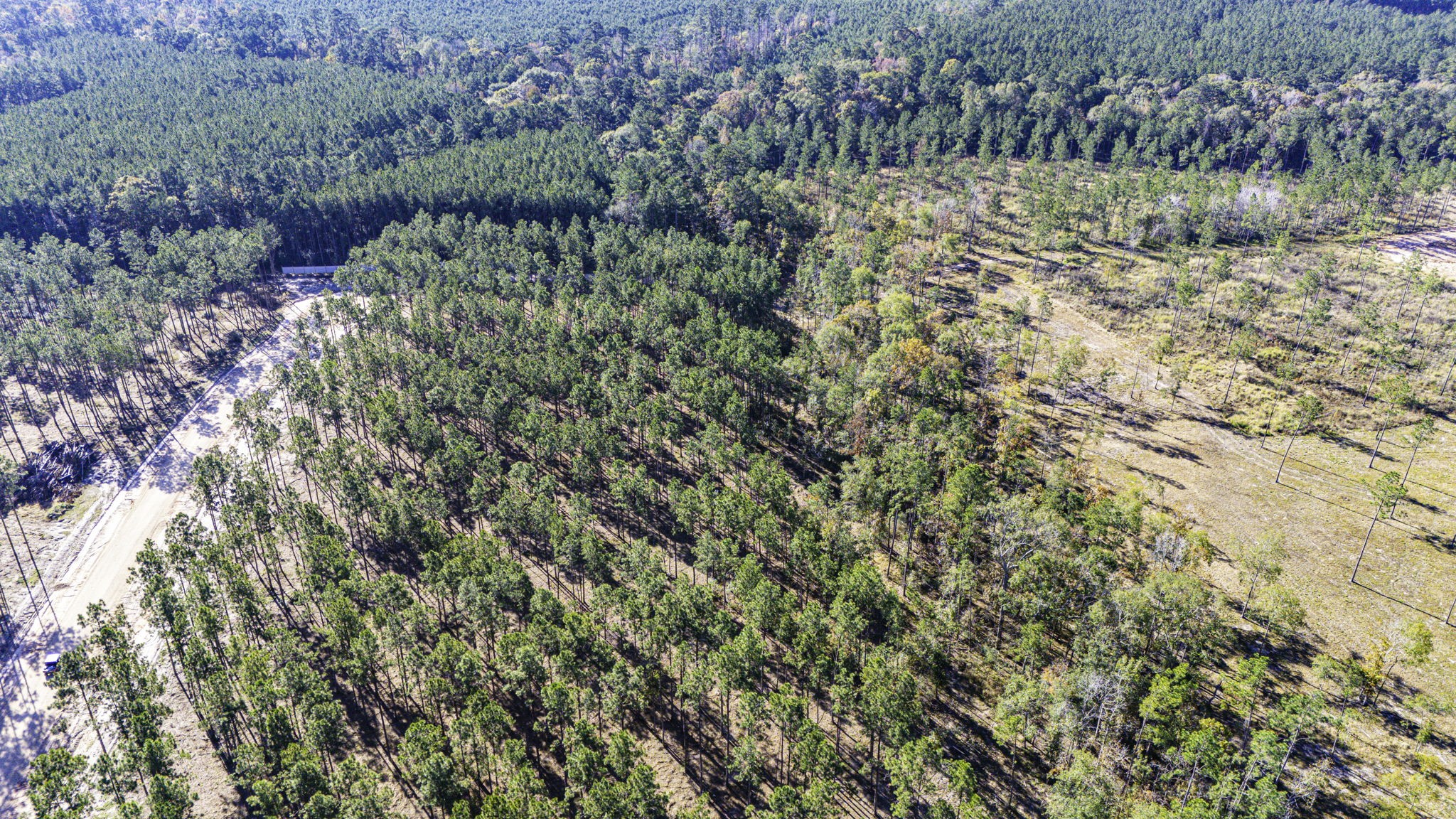 0012 Big Buck Drive Property Photo 1