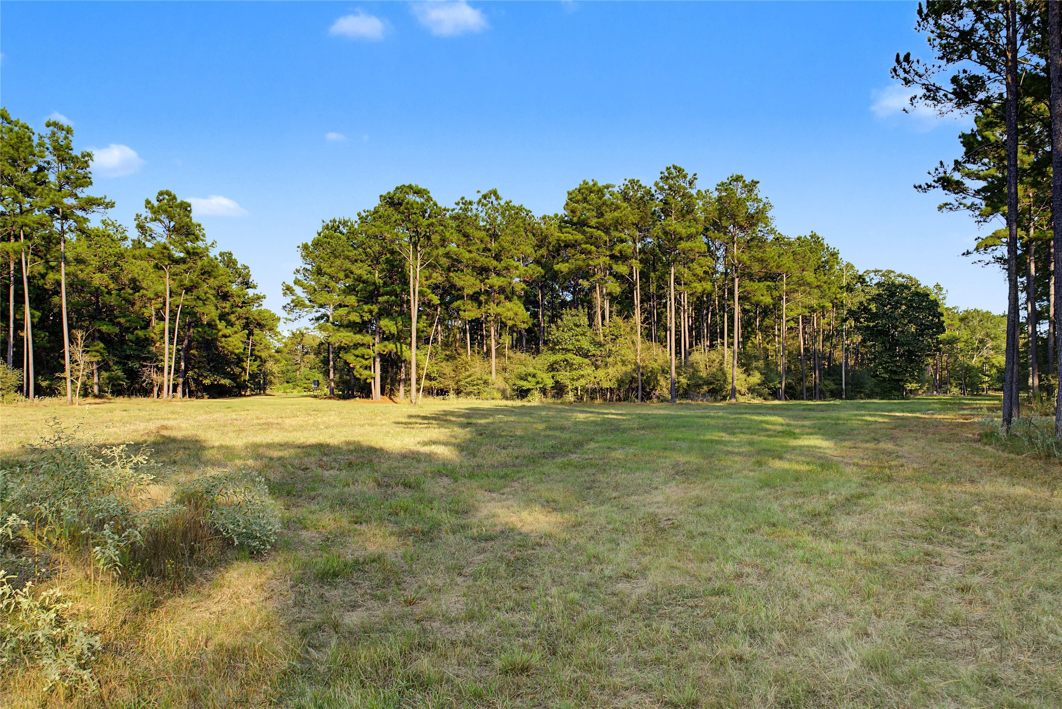 00 Fm 980 Property Photo 7