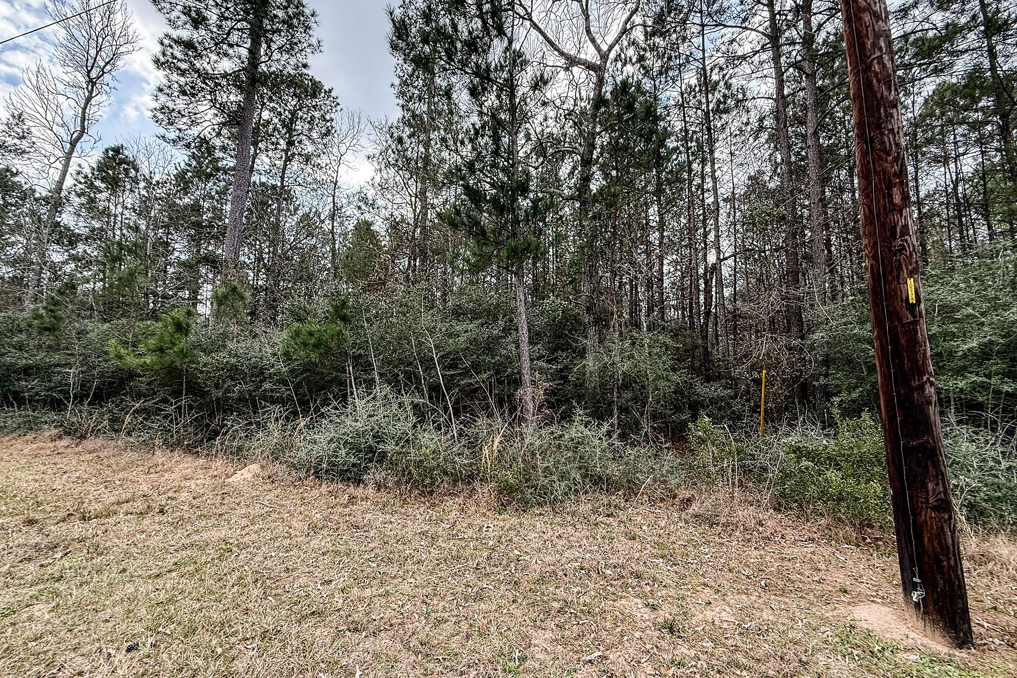 Lot 13 Chisholm Trail Property Photo 6