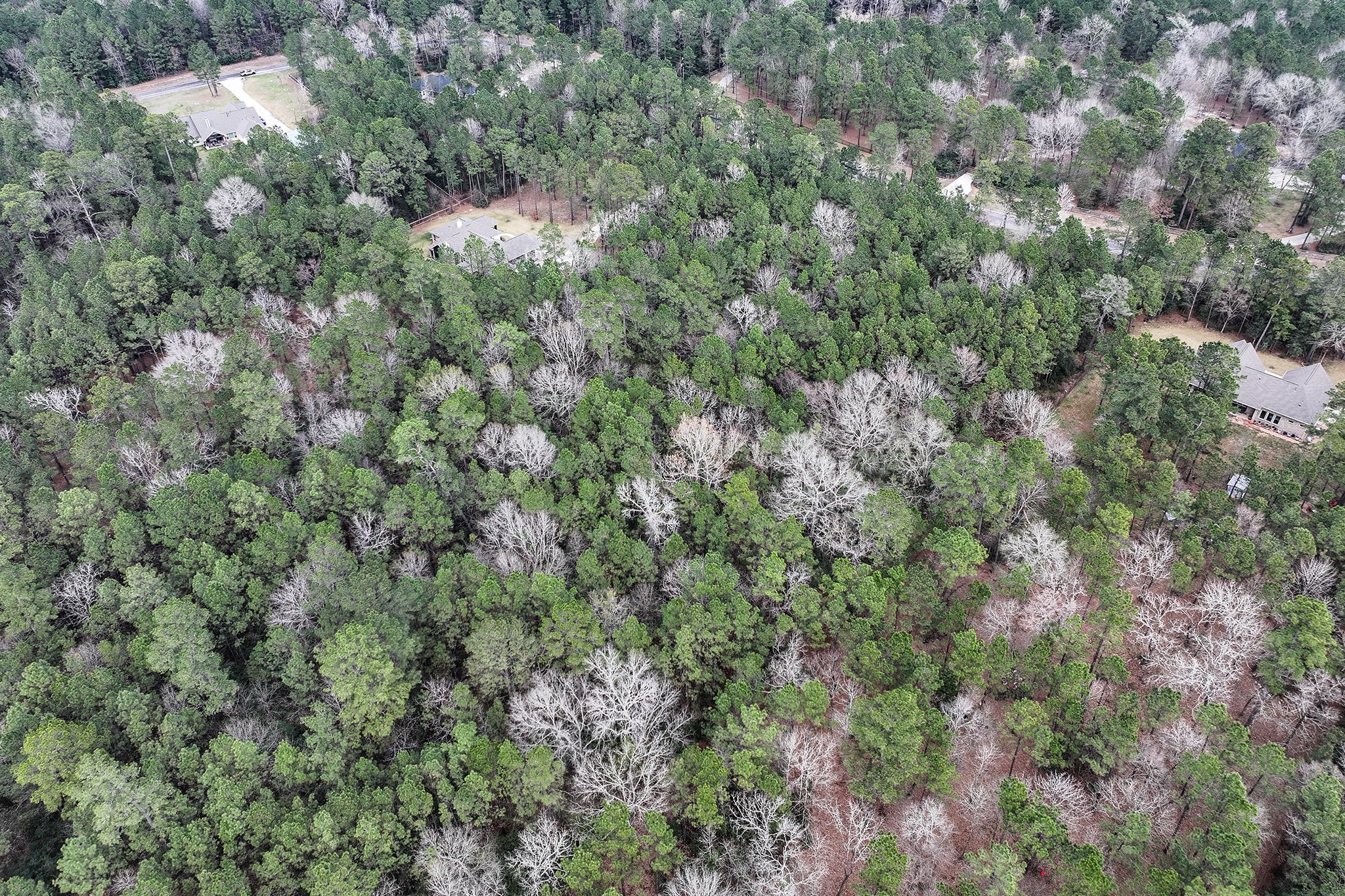Lot 13 Chisholm Trail Property Photo 9