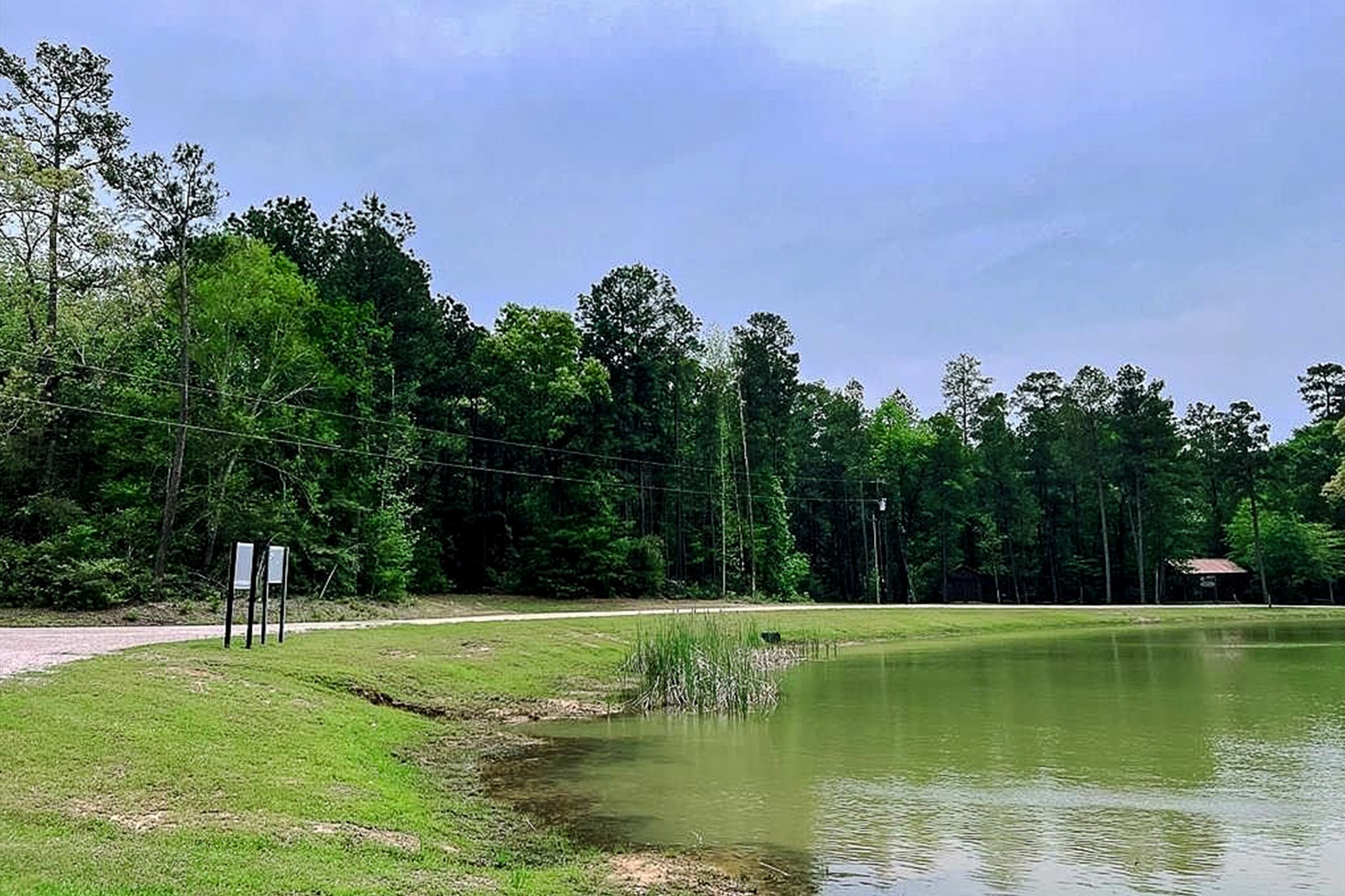 Lot 13 Chisholm Trail Property Photo 15