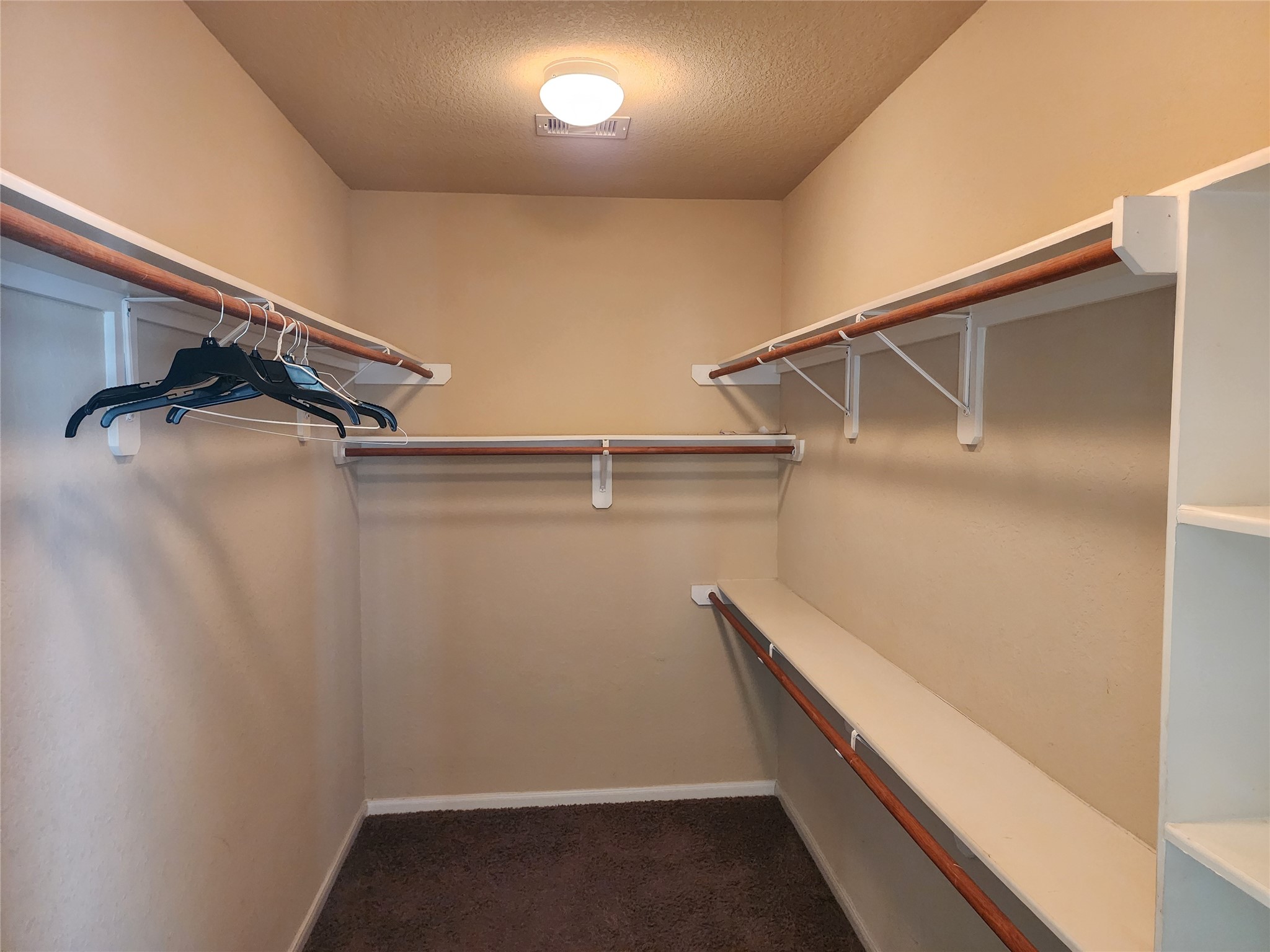 8930 Silent Hills Lane Property Photo 20
