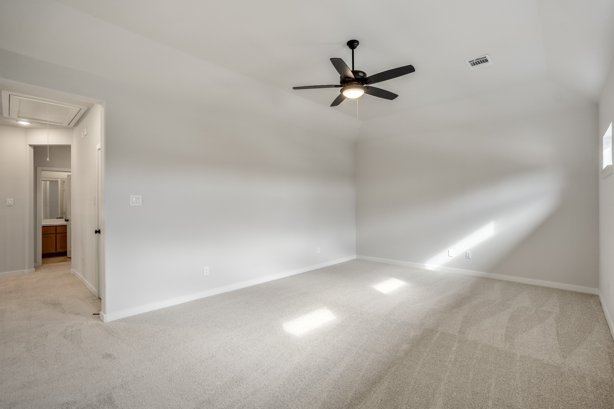 17206 Blooming Suzans Lane Property Photo 29