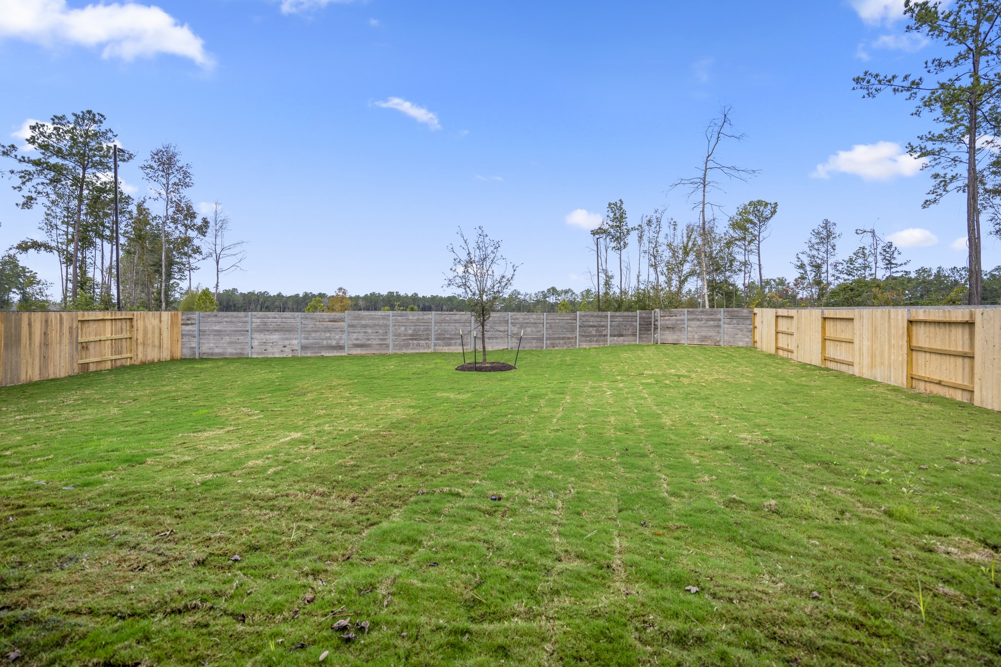 17206 Blooming Suzans Lane Property Photo 40