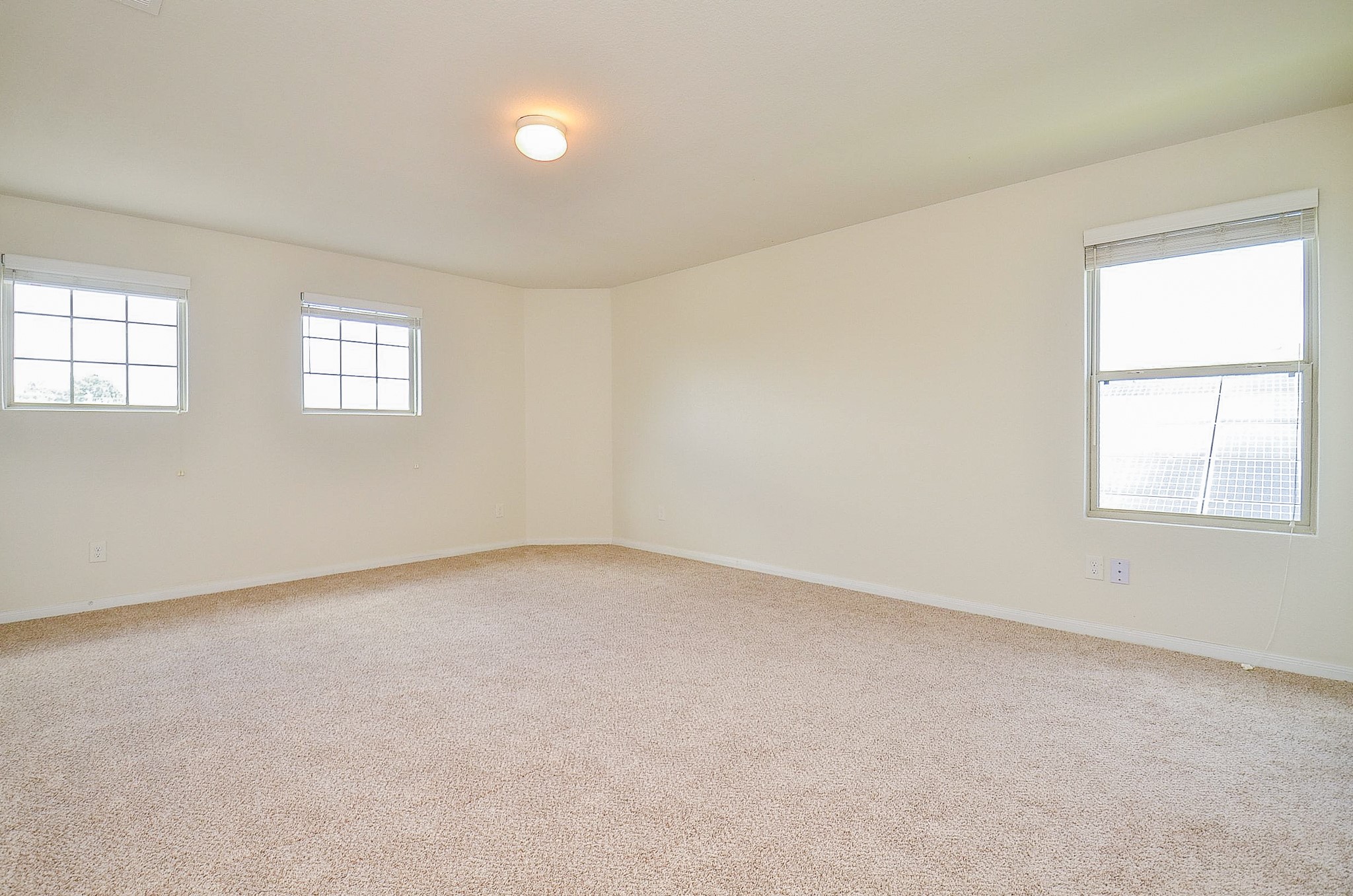 2539 Bedrock Lane Property Photo 17