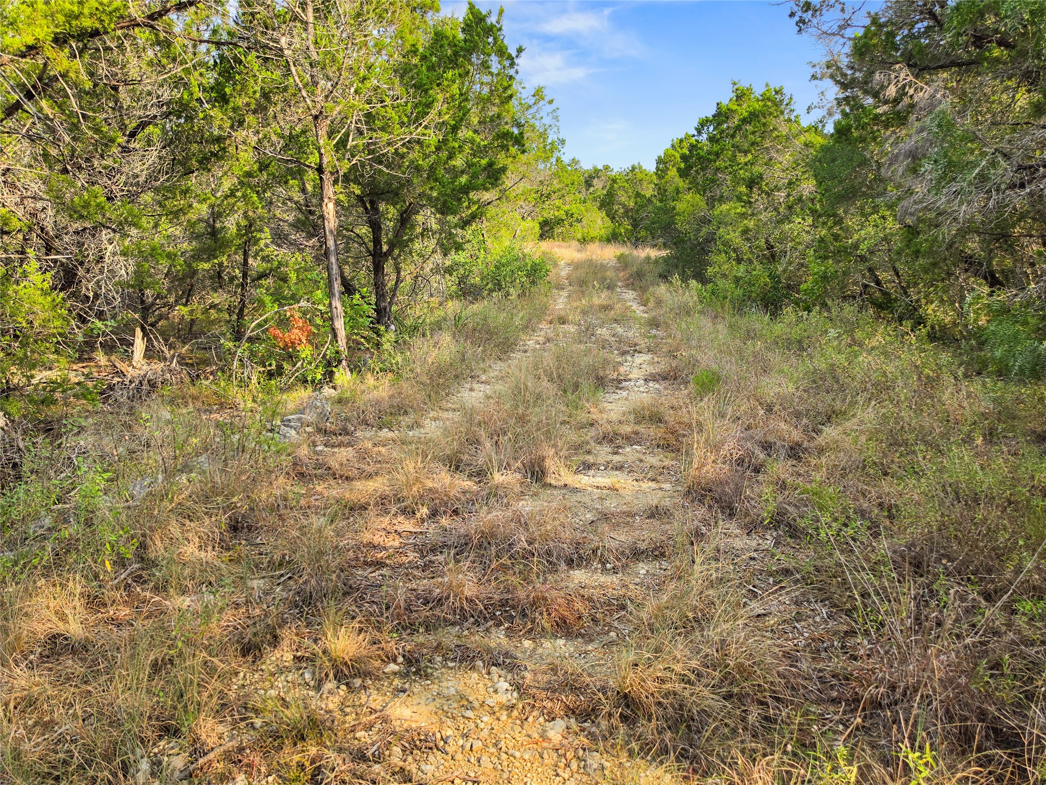 240 County Road 2704 Property Photo 3