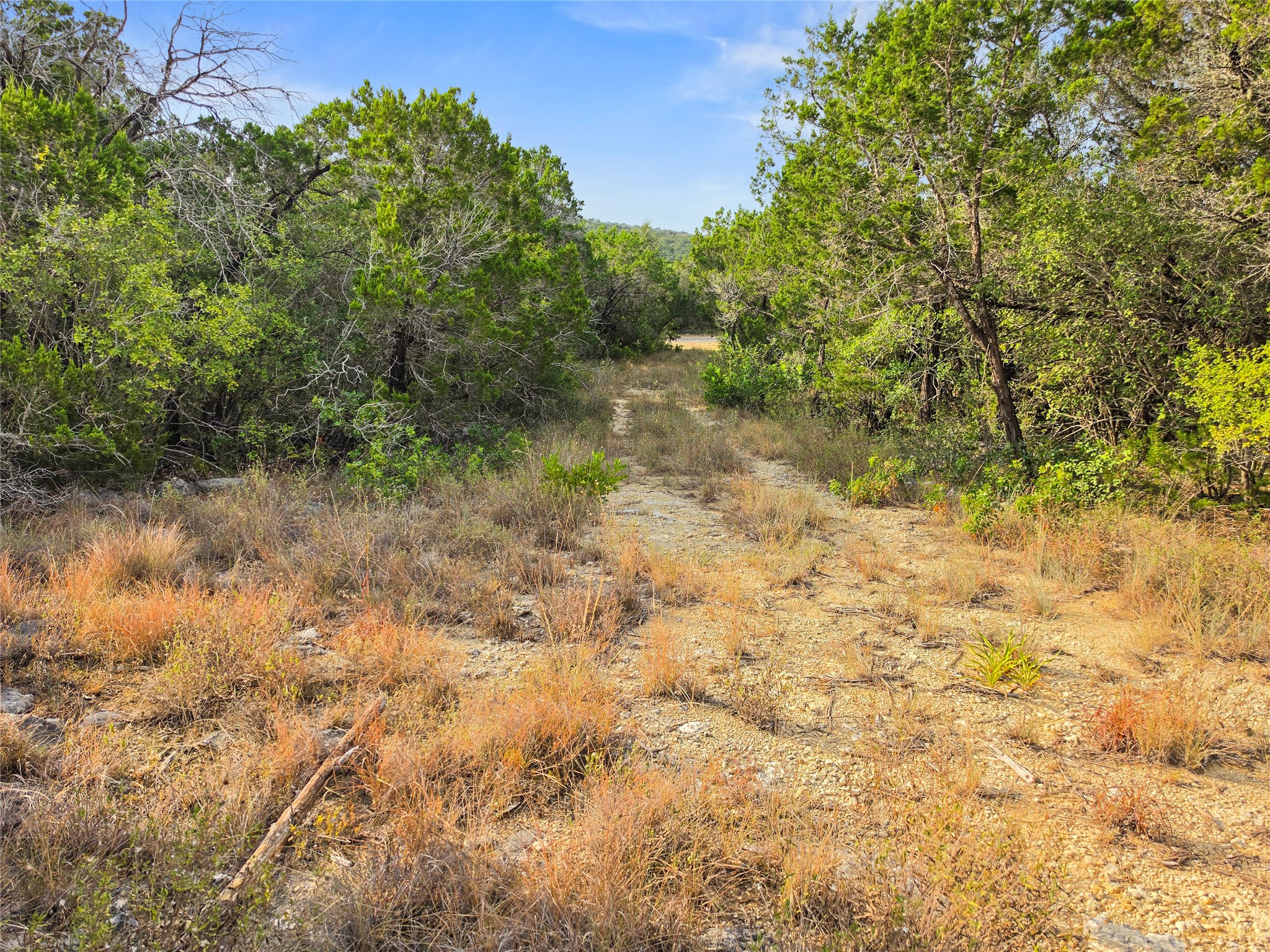 240 County Road 2704 Property Photo 4