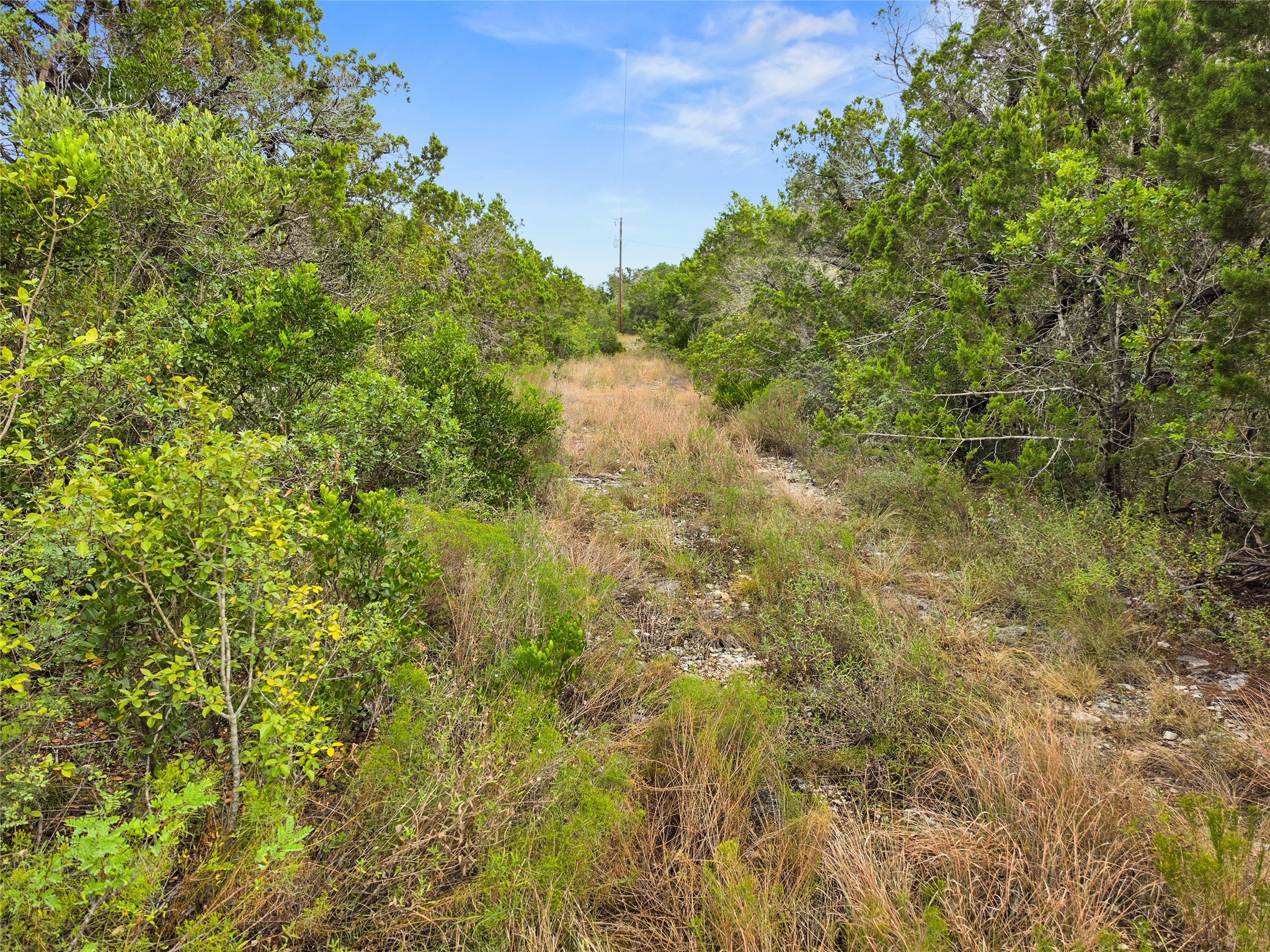 240 County Road 2704 Property Photo 15