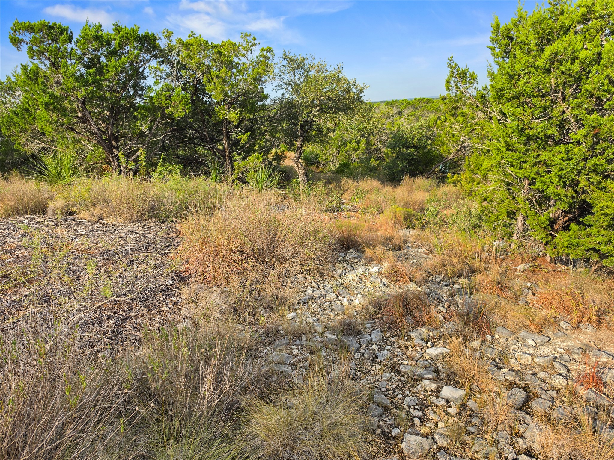 240 County Road 2704 Property Photo 16