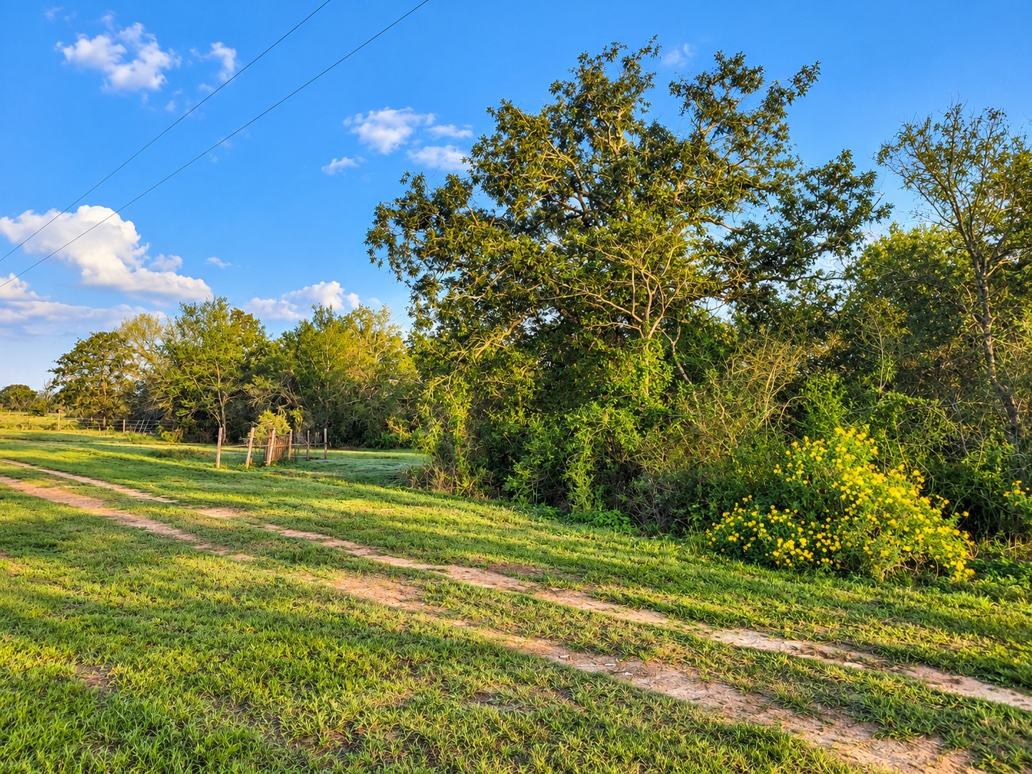 1791 County Road 441 Property Photo 6