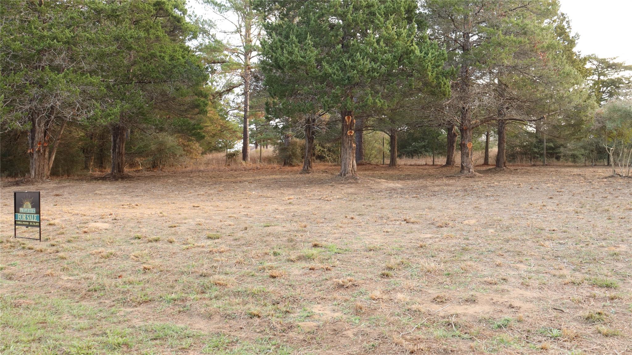 Lot 27A Doral Drive, New Ulm TX 78950 Property Photo 1