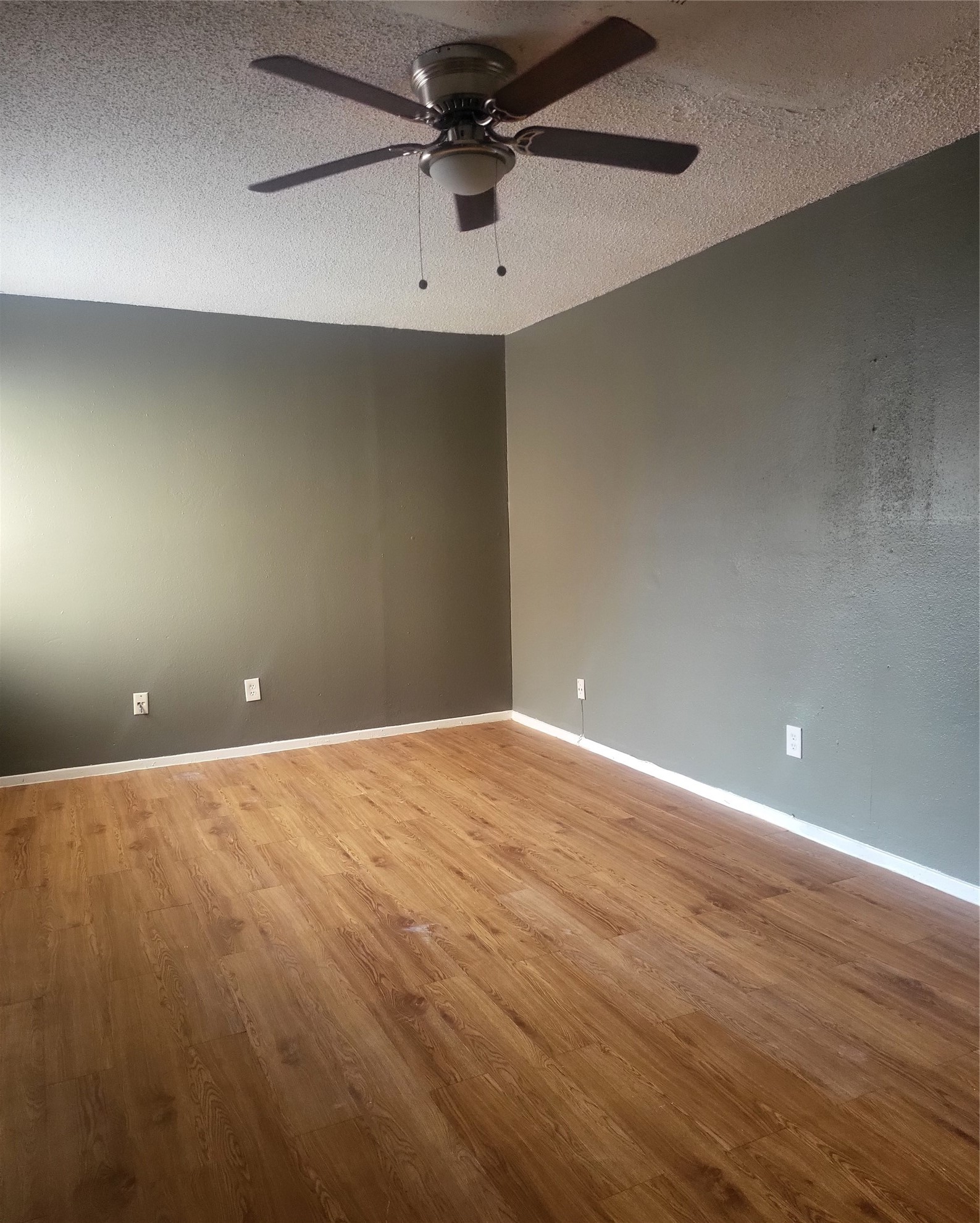 12613 Newbrook Drive Property Photo 8