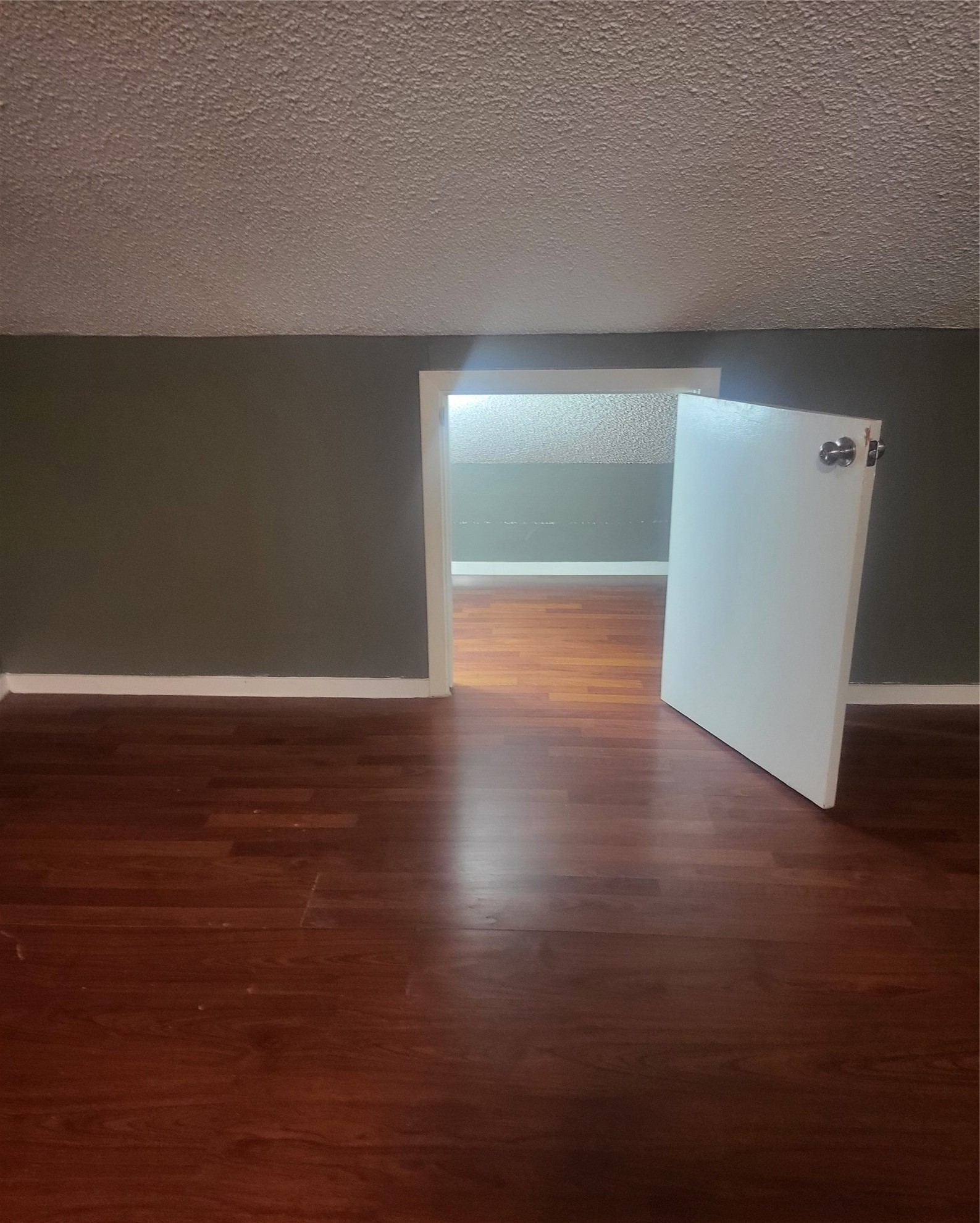 12613 Newbrook Drive Property Photo 11