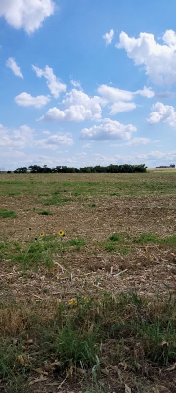 Sh 171 Hcr 4123 Property Photo 5