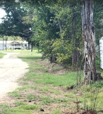 0000 Mary L Evans Road Property Photo 6