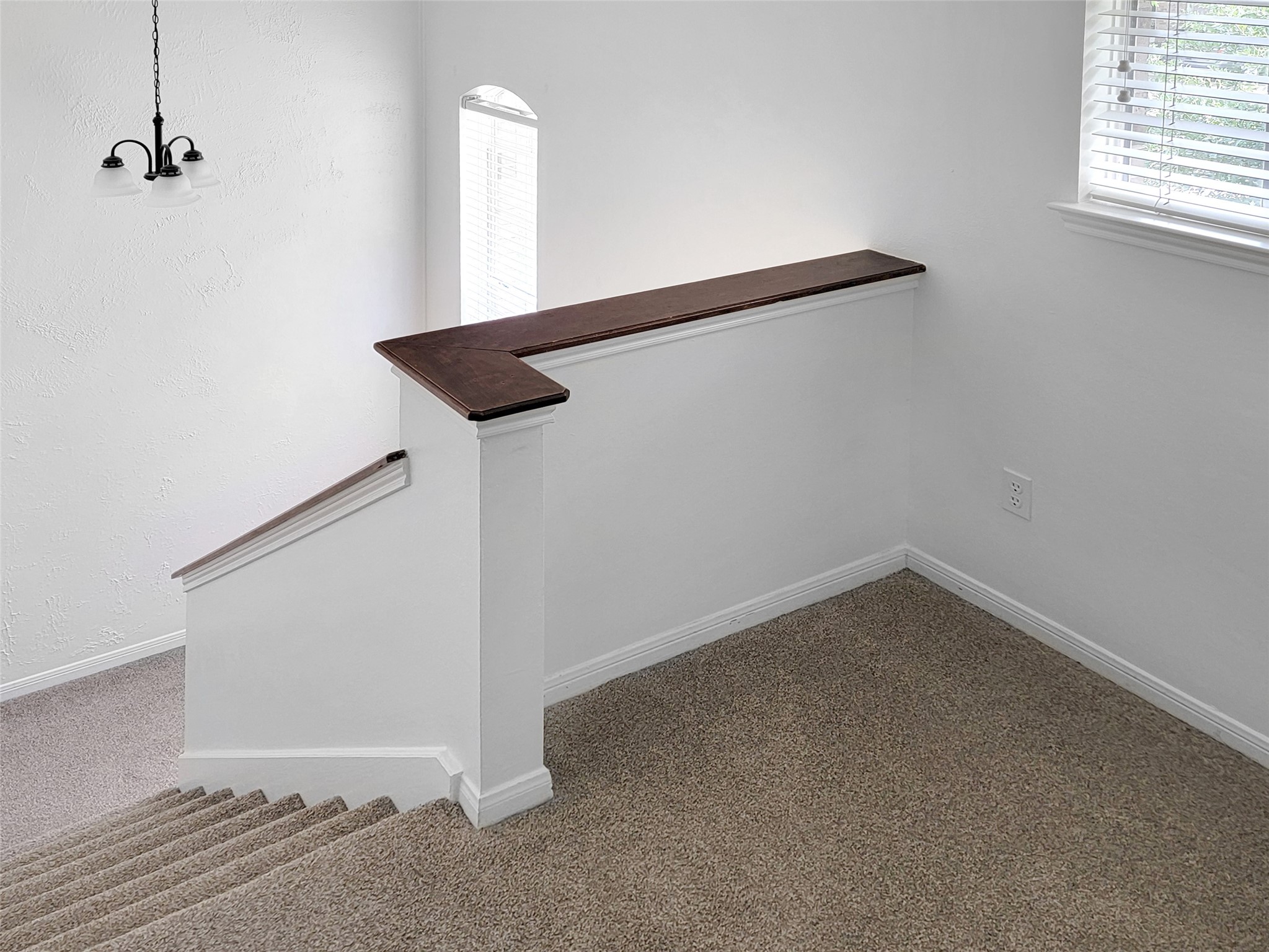 17807 Telegraph Creek Drive Property Photo 19