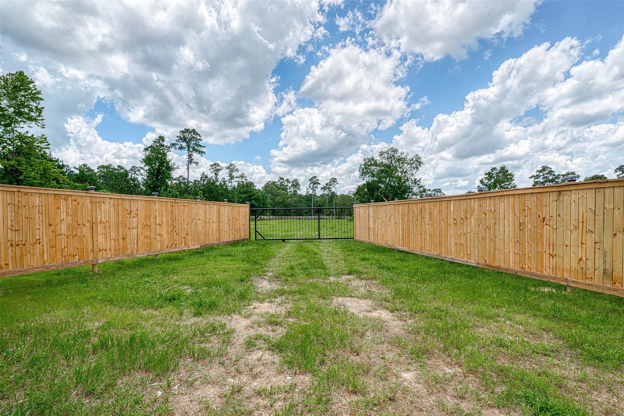24313 Fm 1488 Road Property Photo 3
