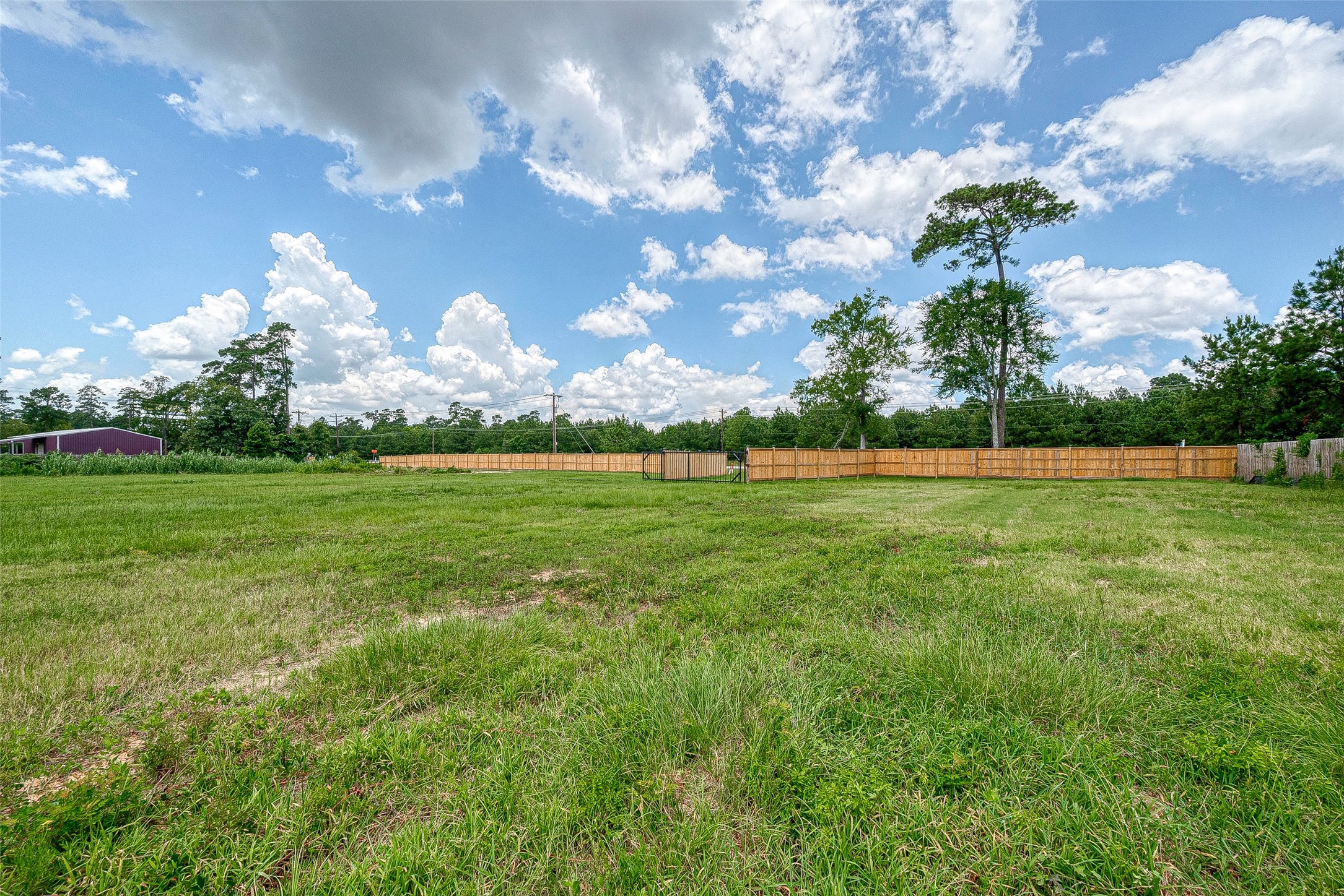 24313 Fm 1488 Road Property Photo 15