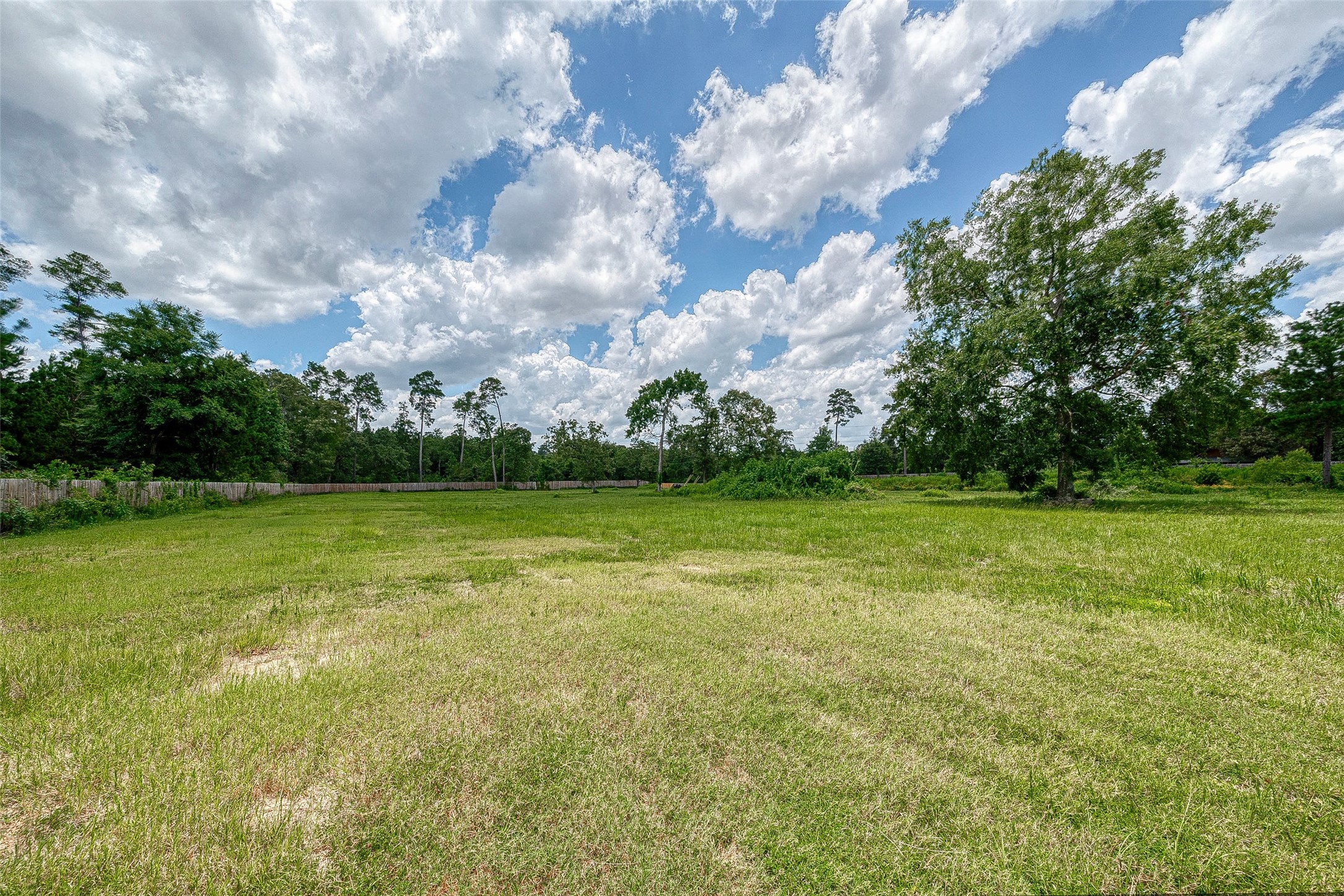 24313 Fm 1488 Road Property Photo 16