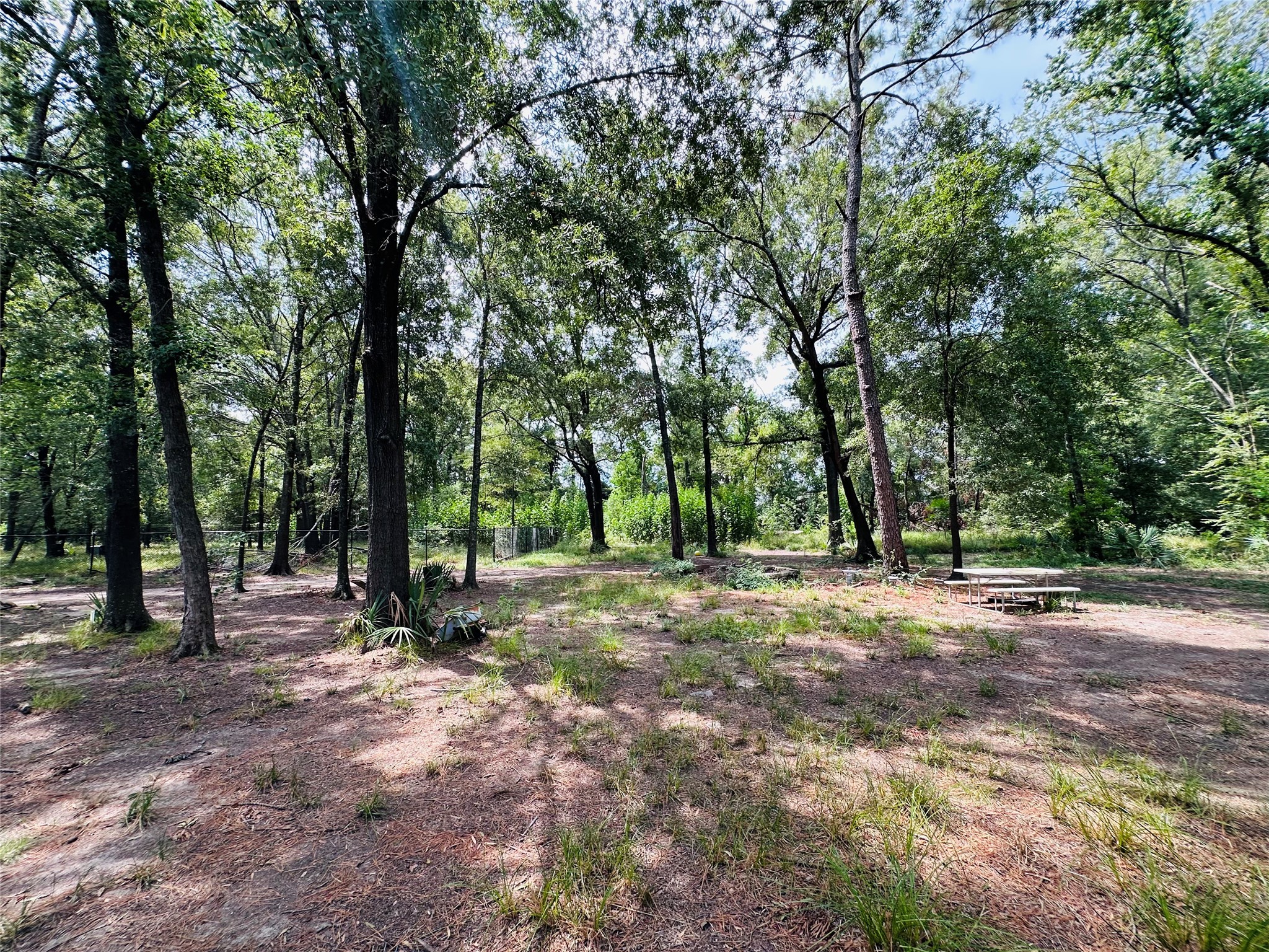 623 Lakeville Drive Property Photo 10