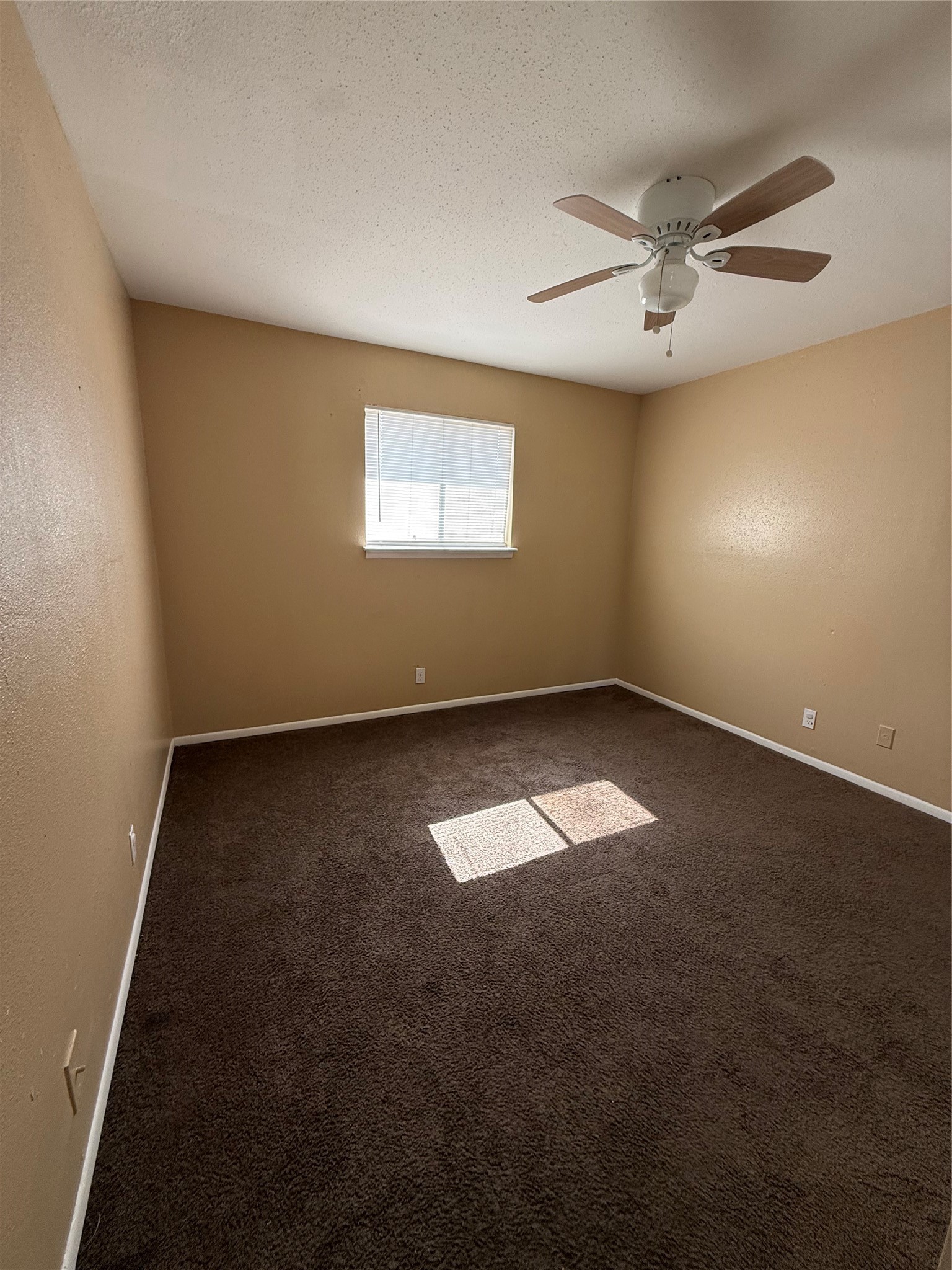 2716 Avenue Q 5 Property Photo 9