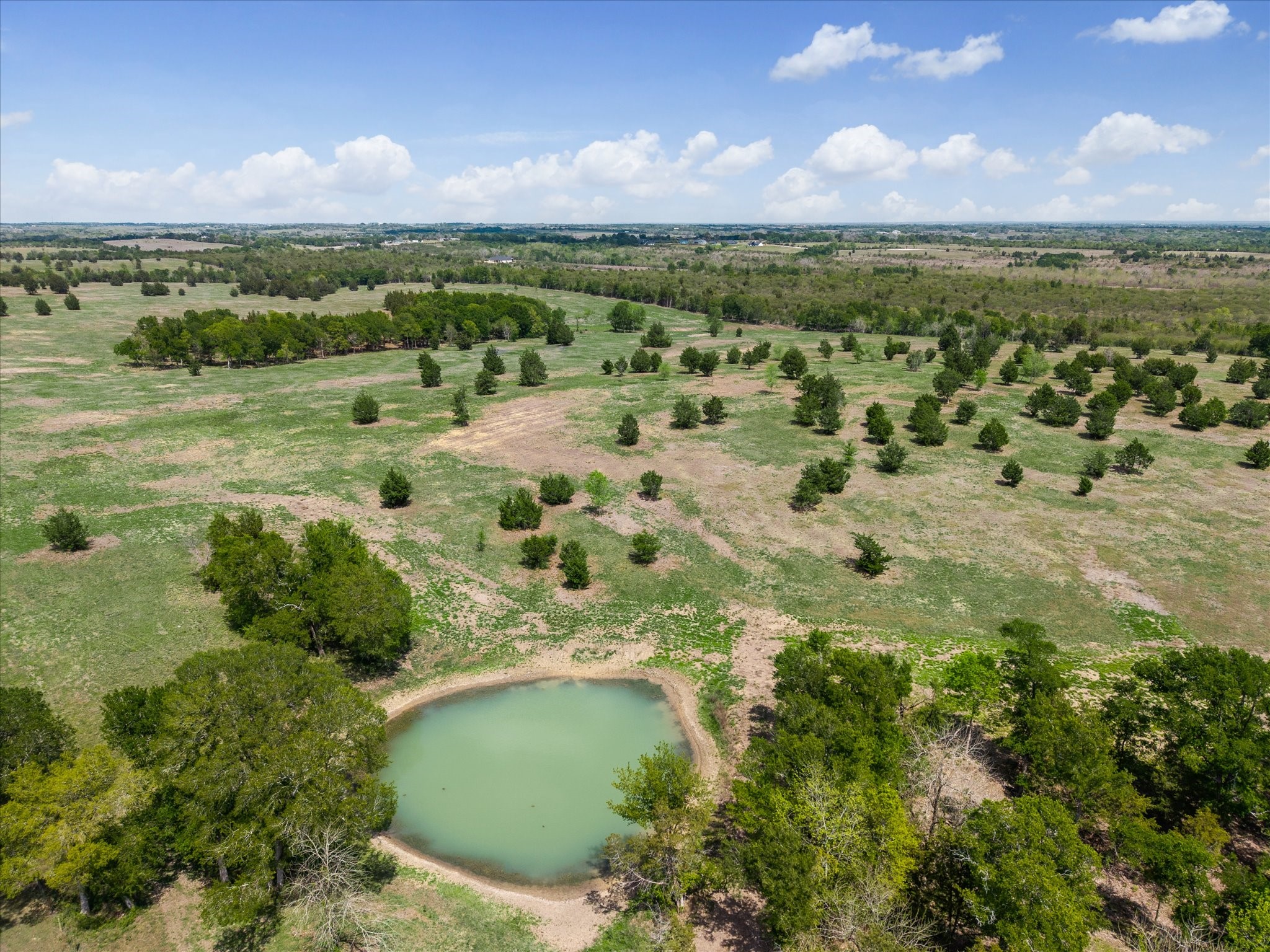13630 Fm 1155 E Property Photo 3