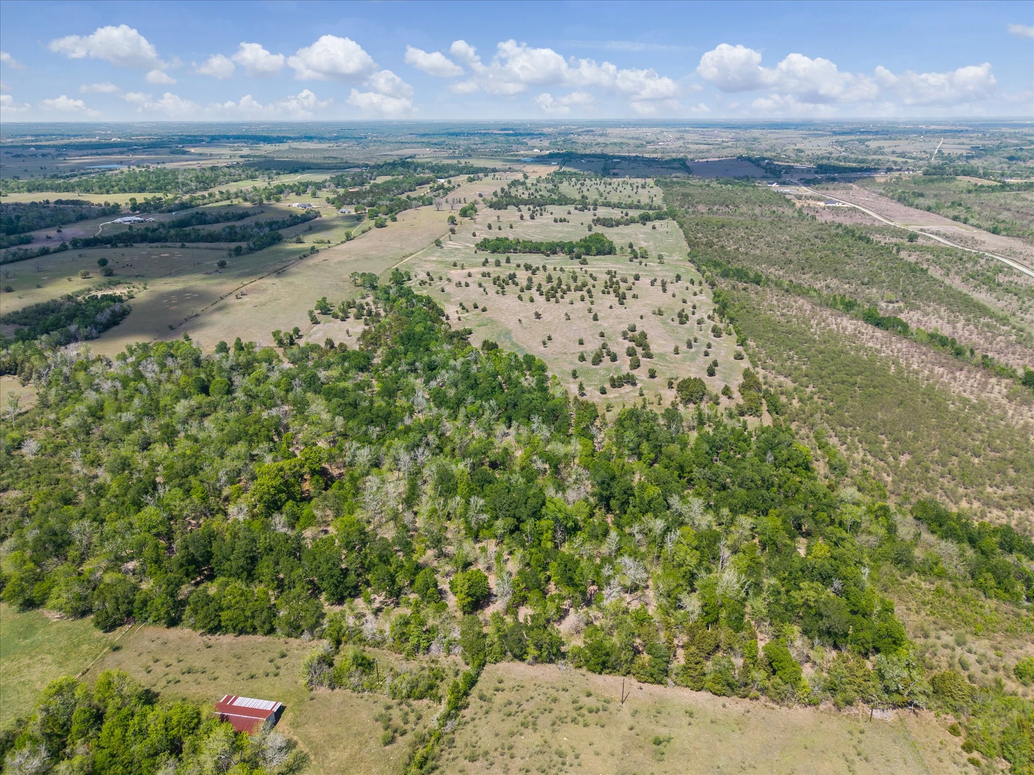 13630 Fm 1155 E Property Photo 4