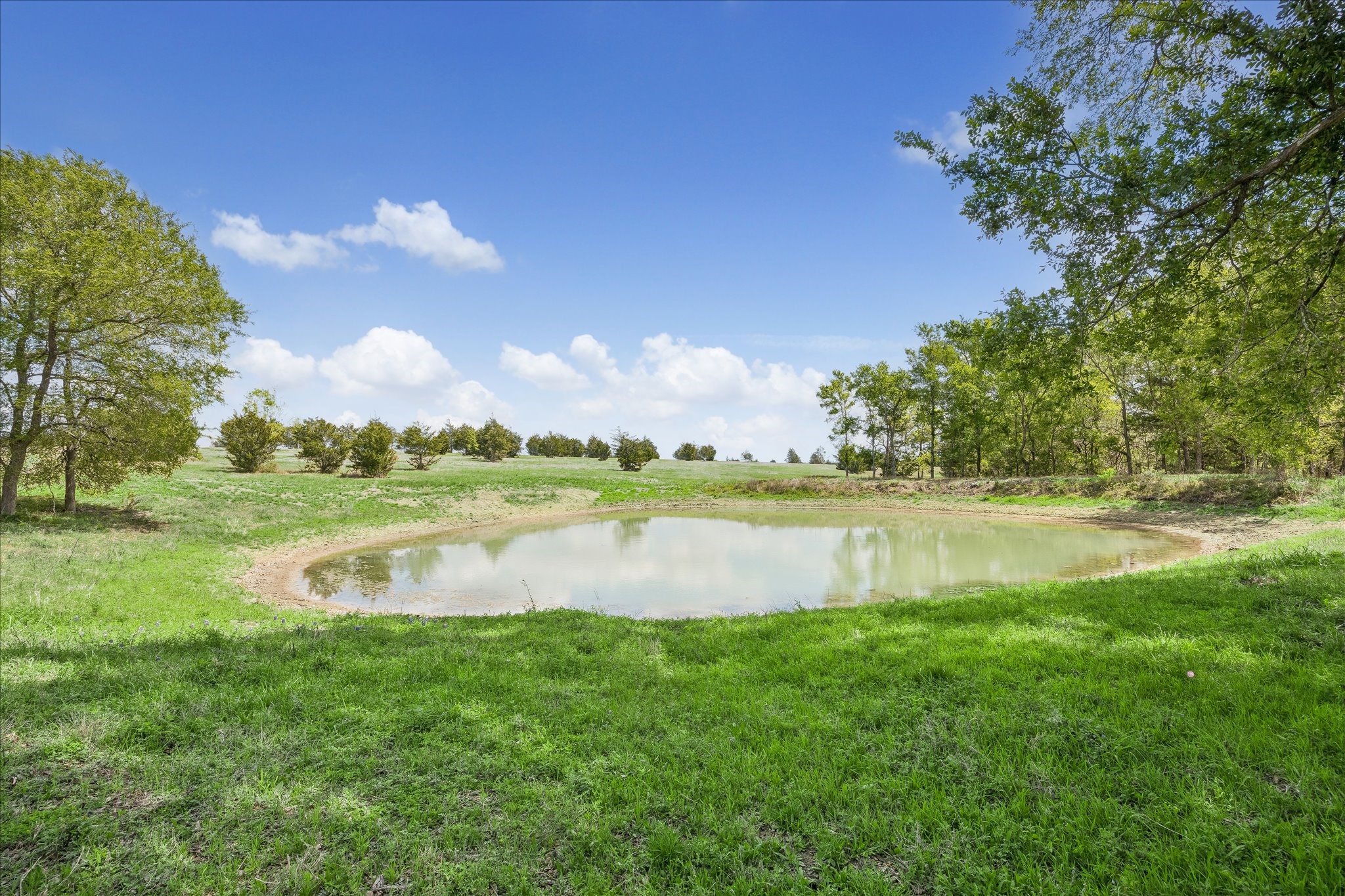 13630 Fm 1155 E Property Photo 7