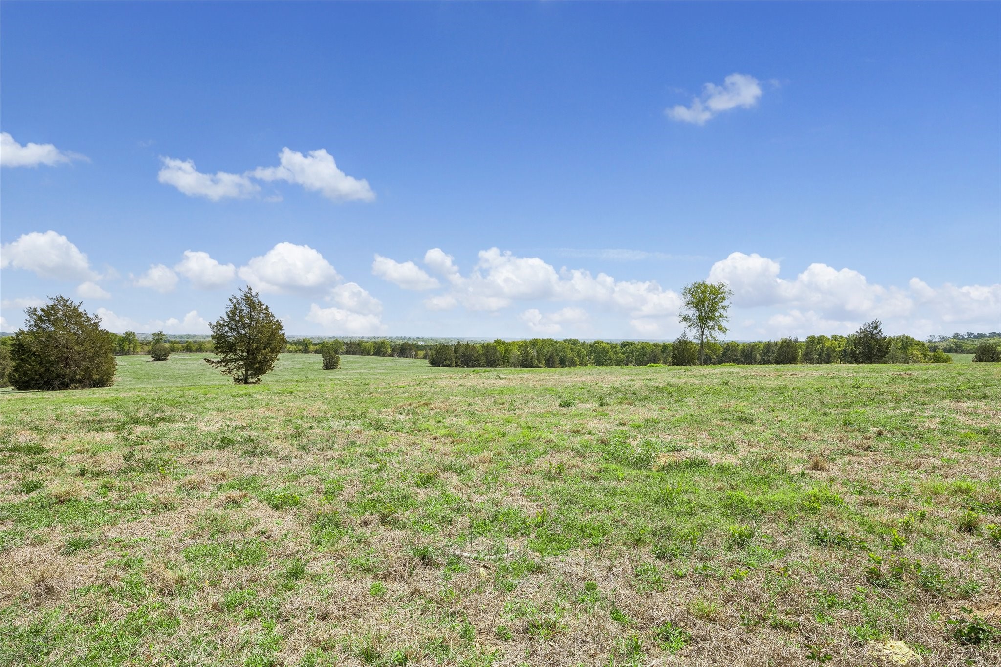13630 Fm 1155 E Property Photo 10
