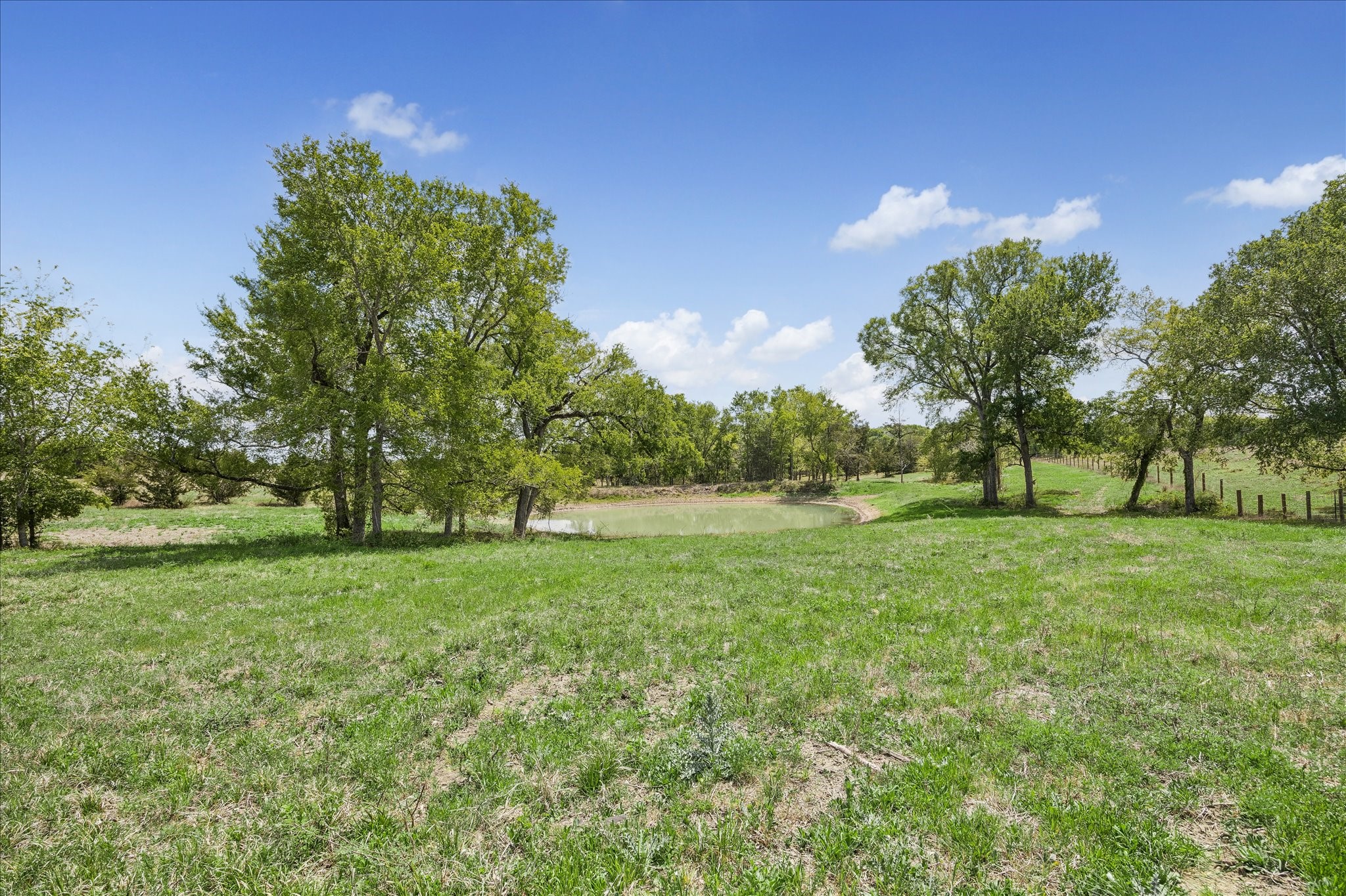 13630 Fm 1155 E Property Photo 12