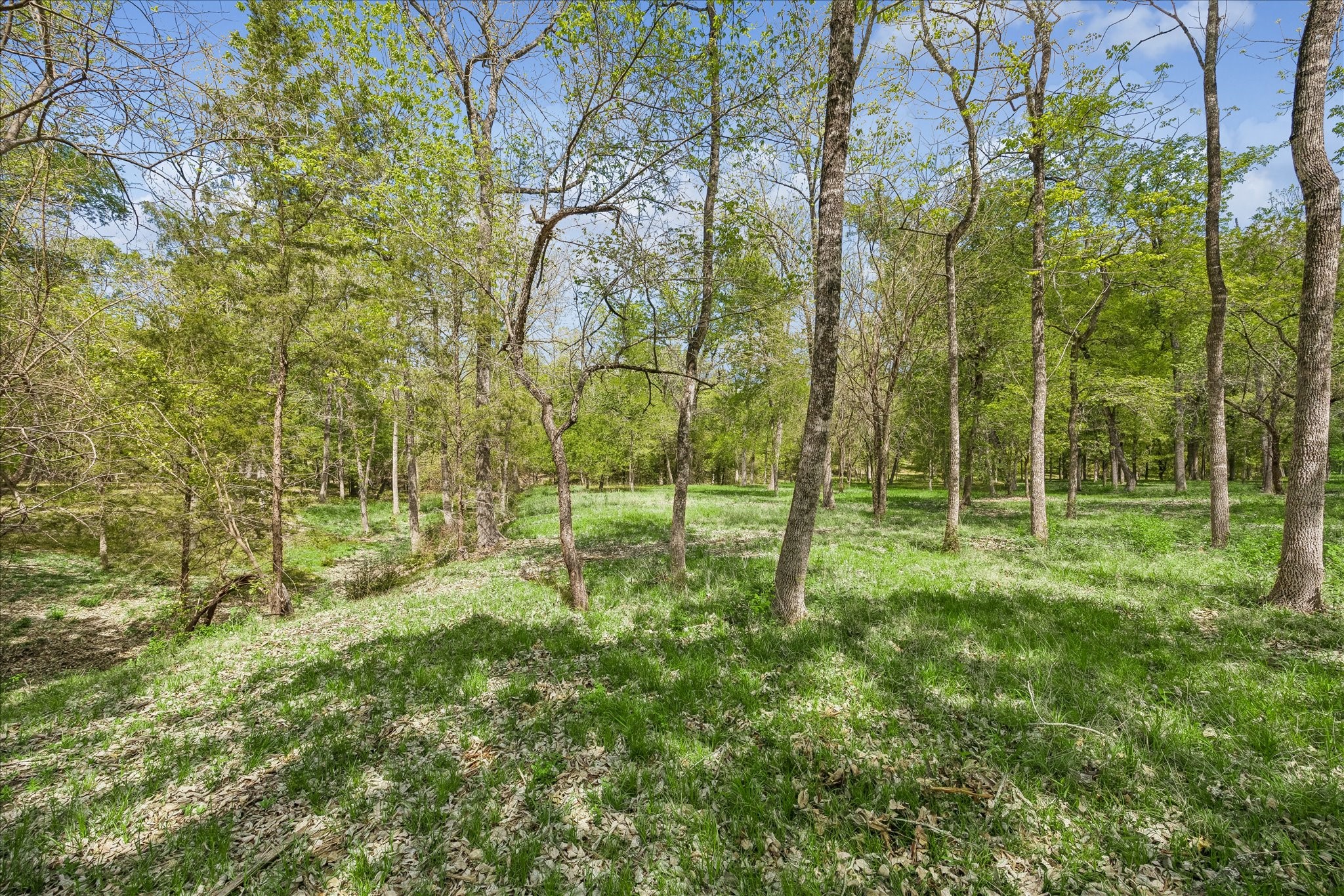 13630 Fm 1155 E Property Photo 13