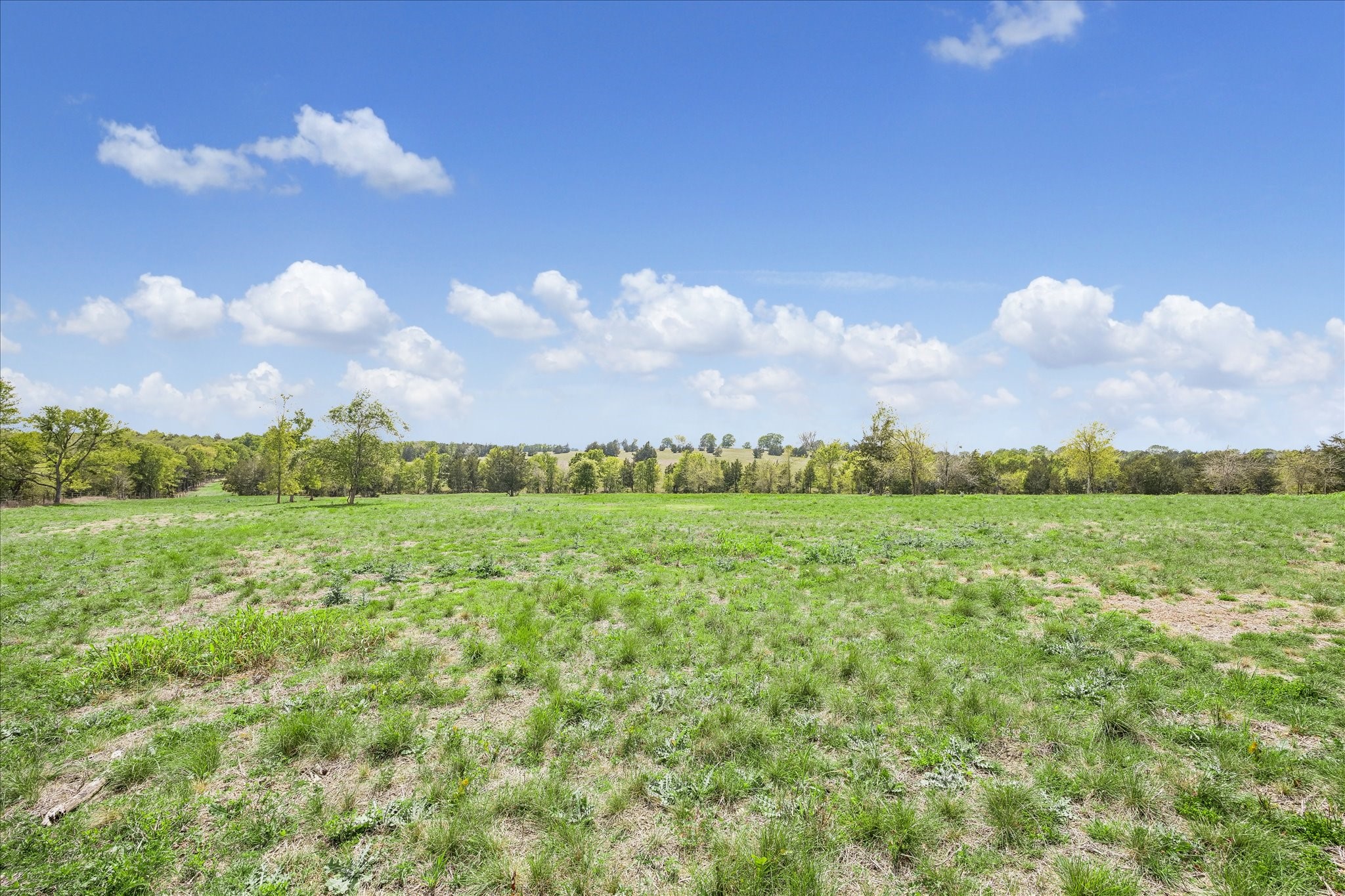 13630 Fm 1155 E Property Photo 14