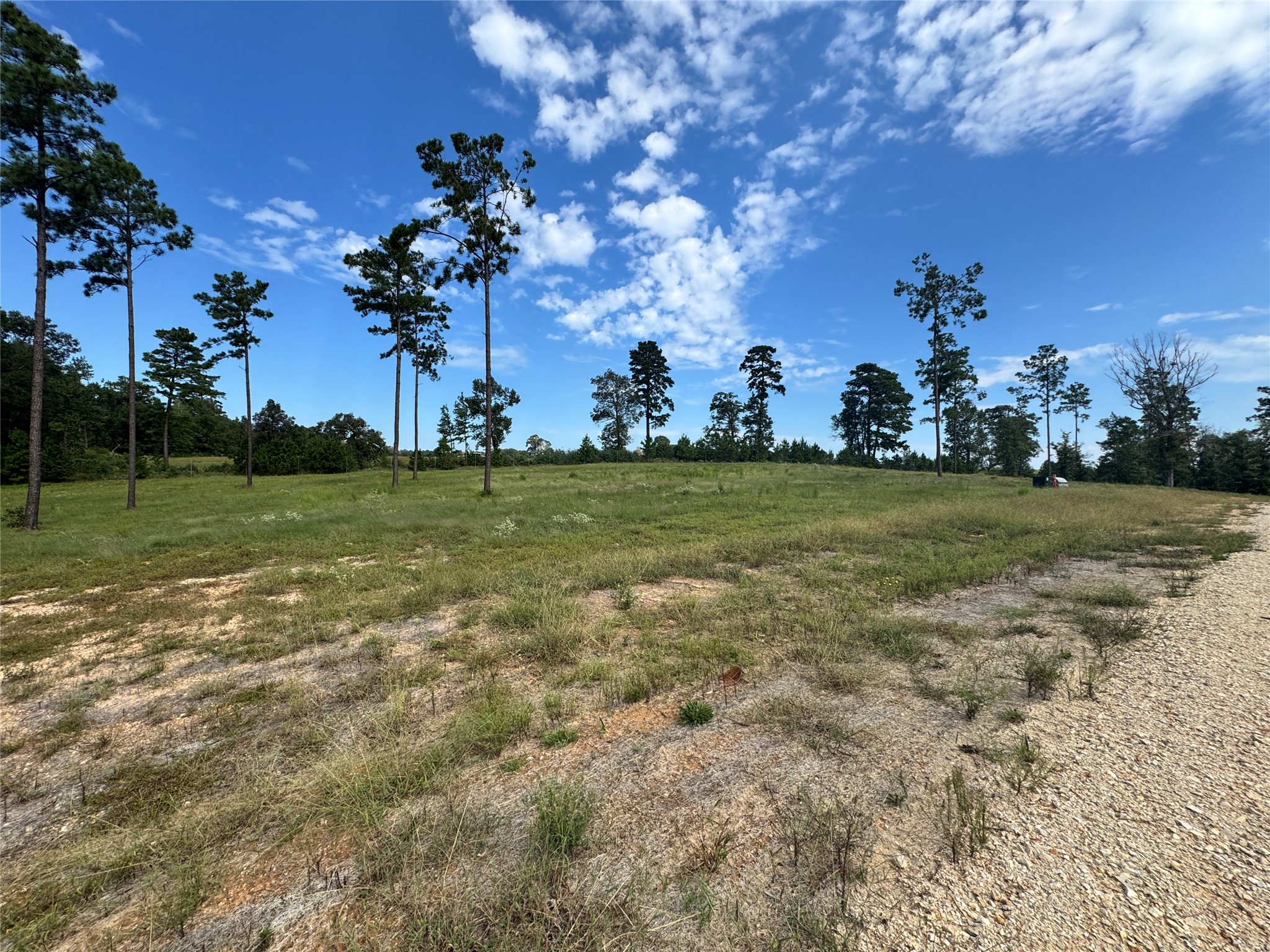123 Anna Grace Property Photo 1
