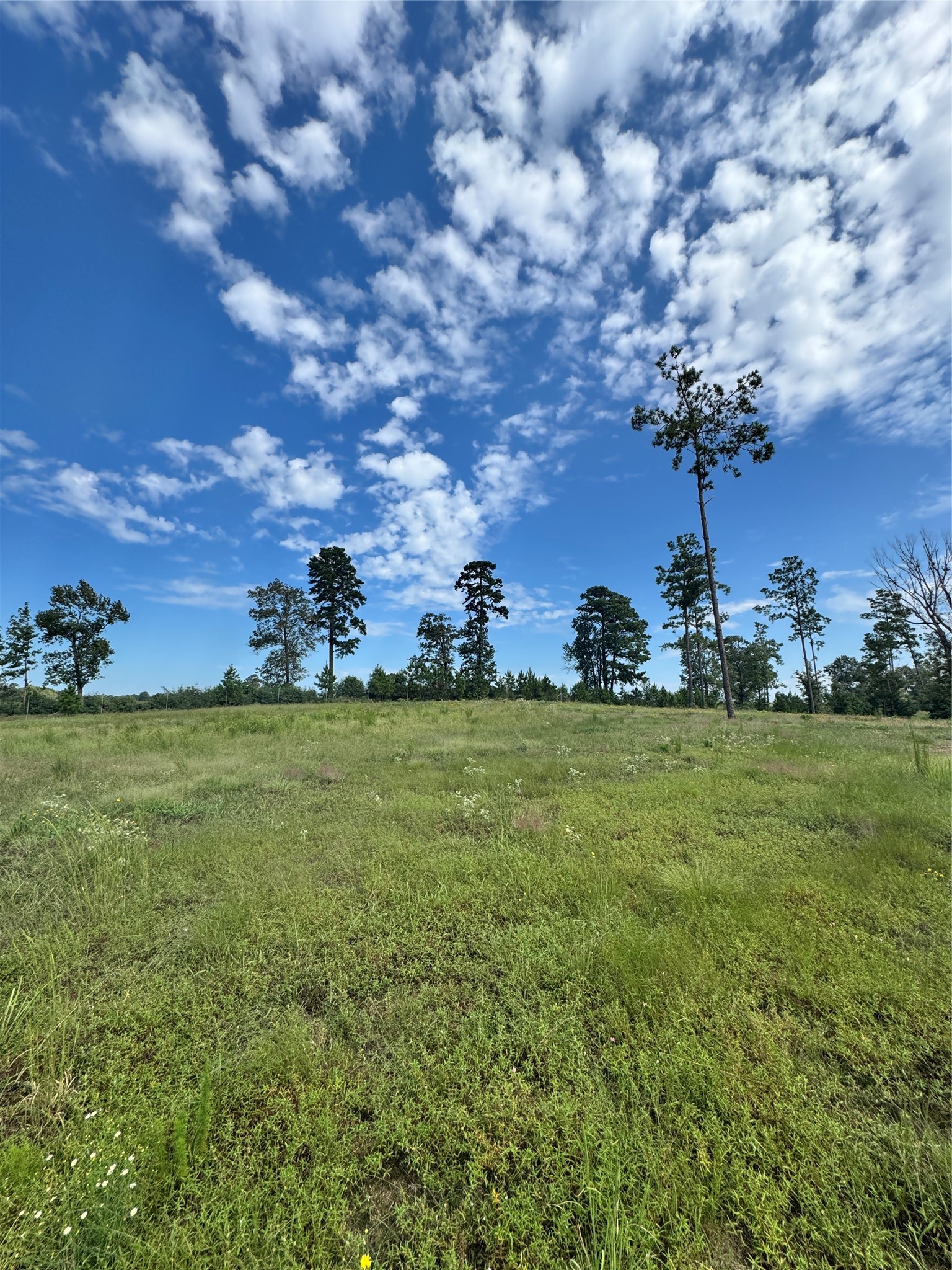 123 Anna Grace Property Photo 7