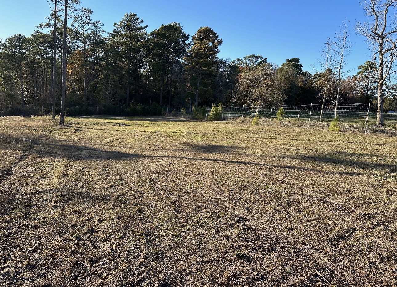 123 Anna Grace Property Photo 10